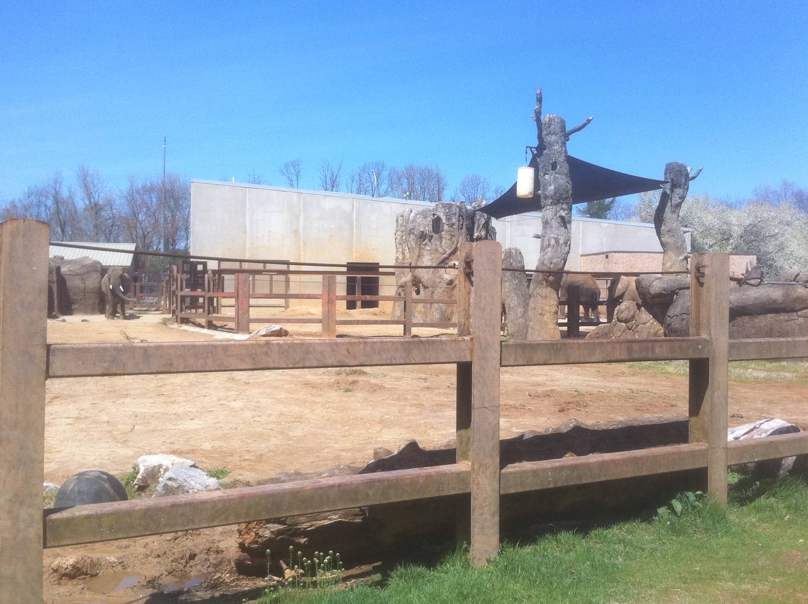 4/2/2013 - Stokely African Elephant Preserve - Exhibit 2