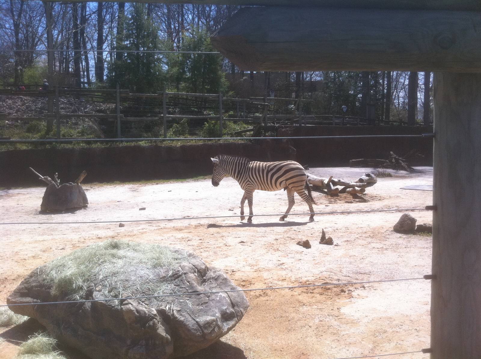 4/2/2013 - Zebra Pen