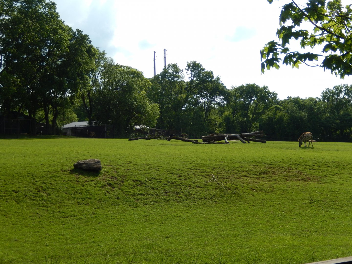 4/29/2017 - African Plains Habitat (Left Half)