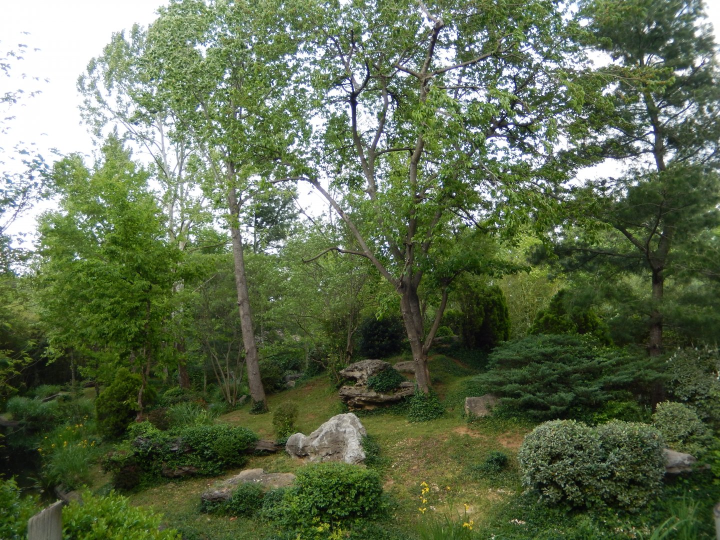 4/29/2017 - Gibbon Islands