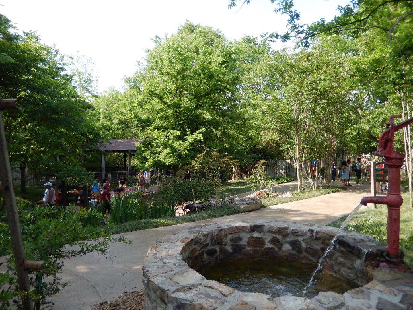 4/29/2017 - Kangaroo Kickabout