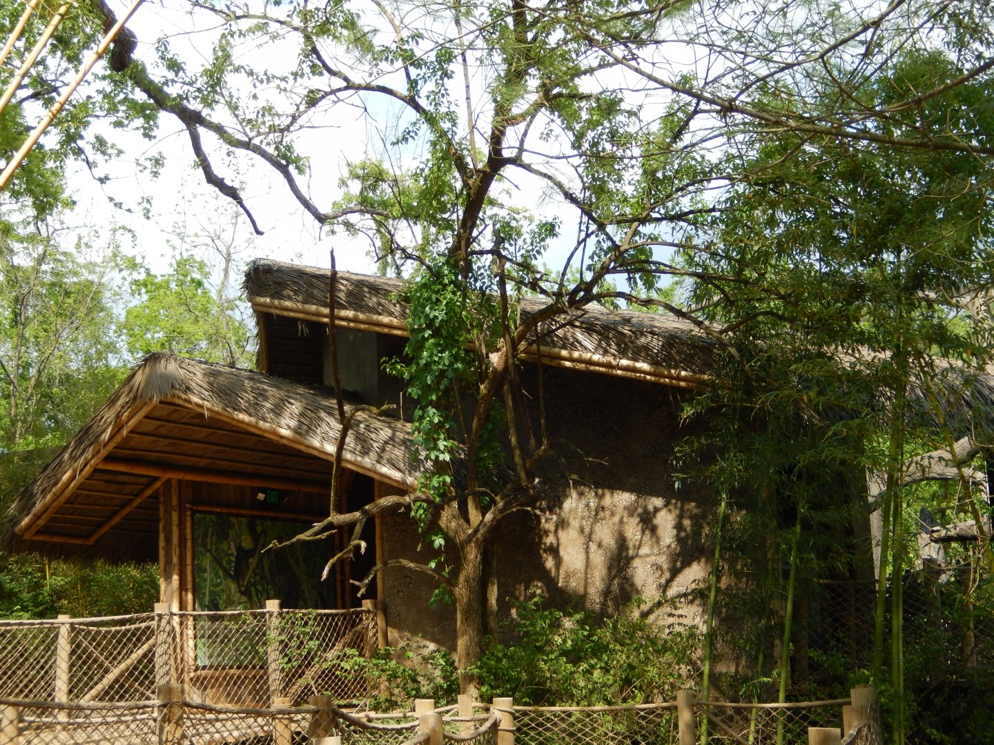 4/29/2017 - Treetop Passage Viewing Shelter