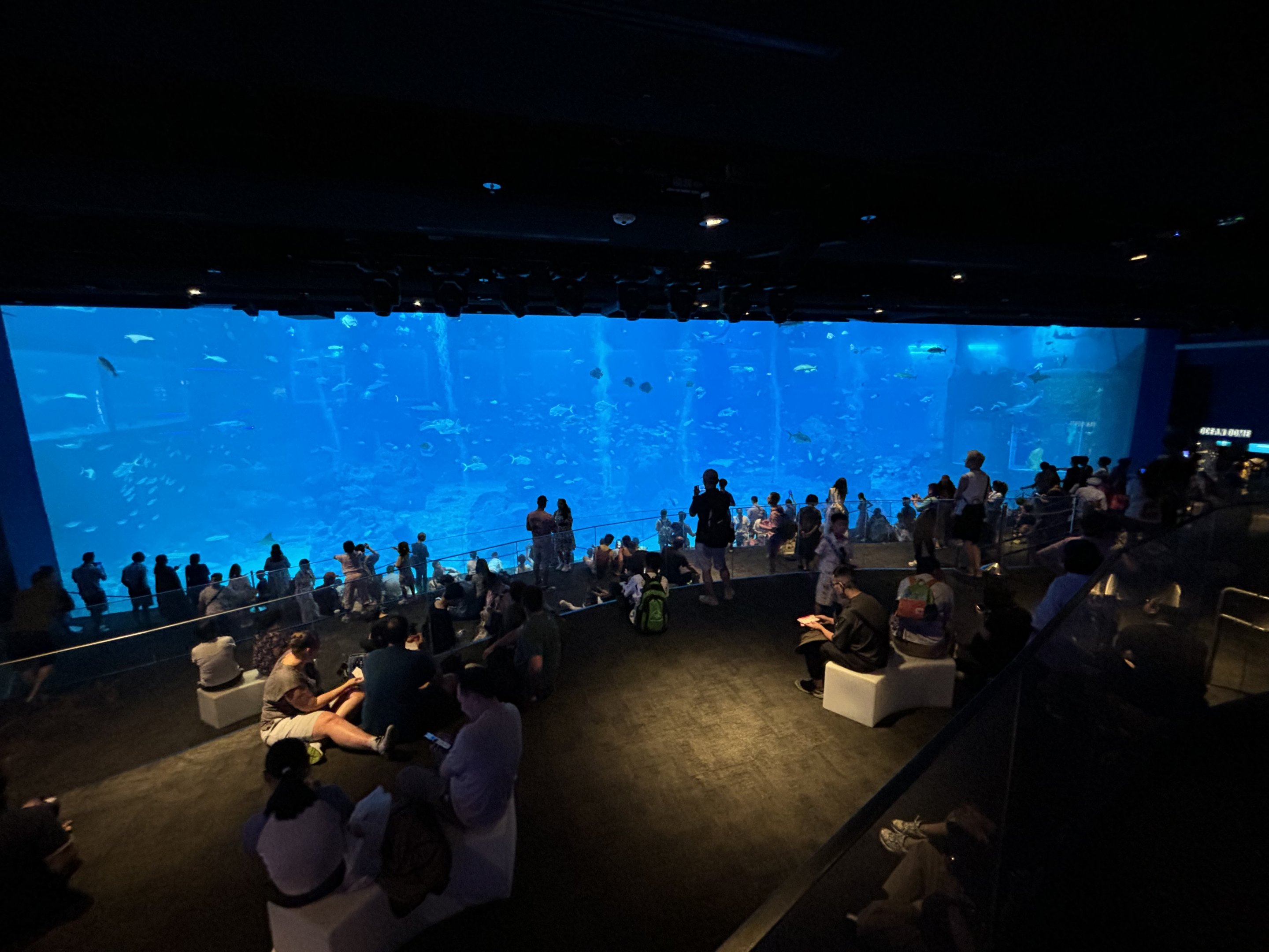 4.8 Million Gallon Open Ocean Habitat