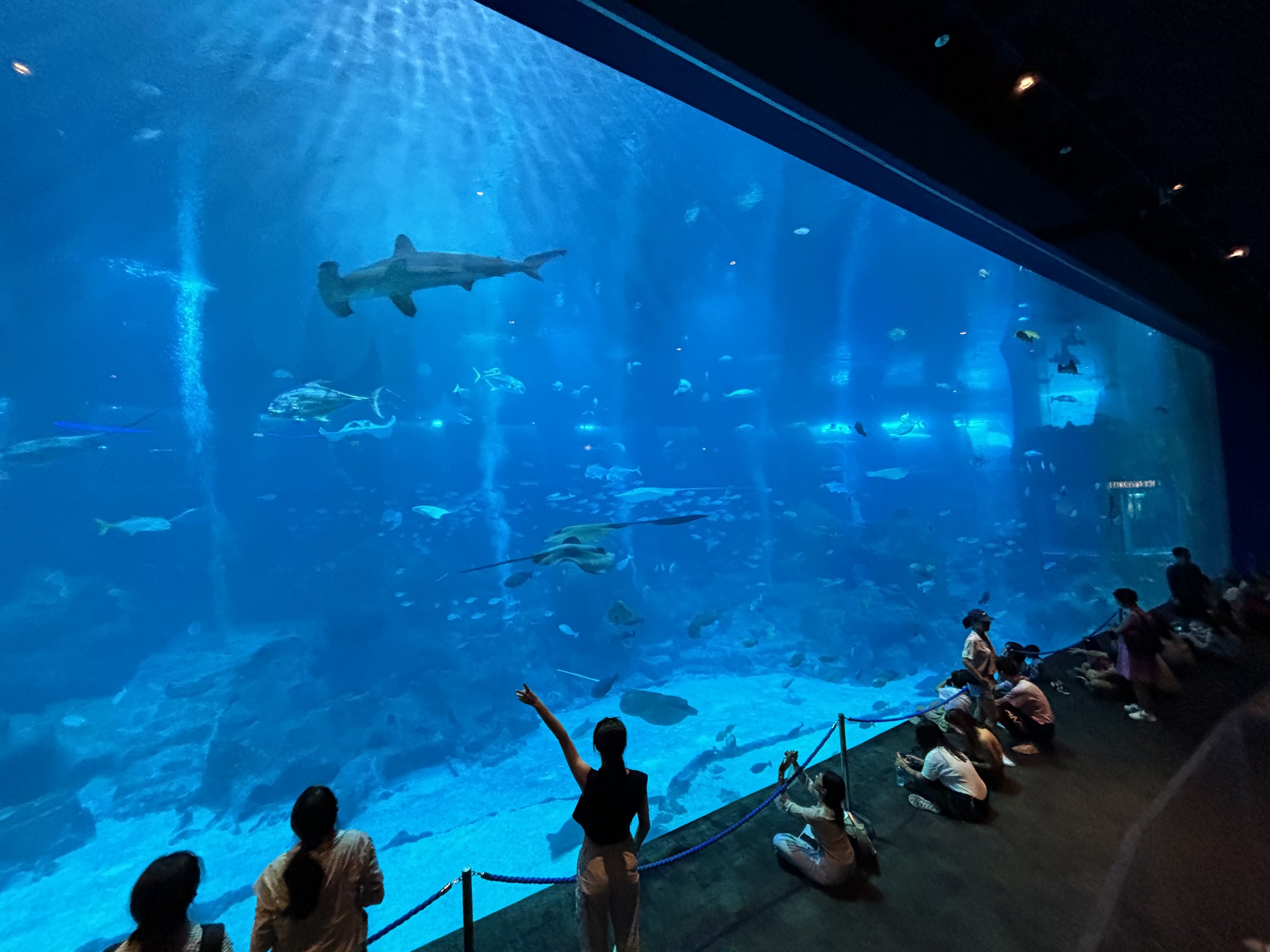 4.8 Million Gallon Open Ocean Habitat