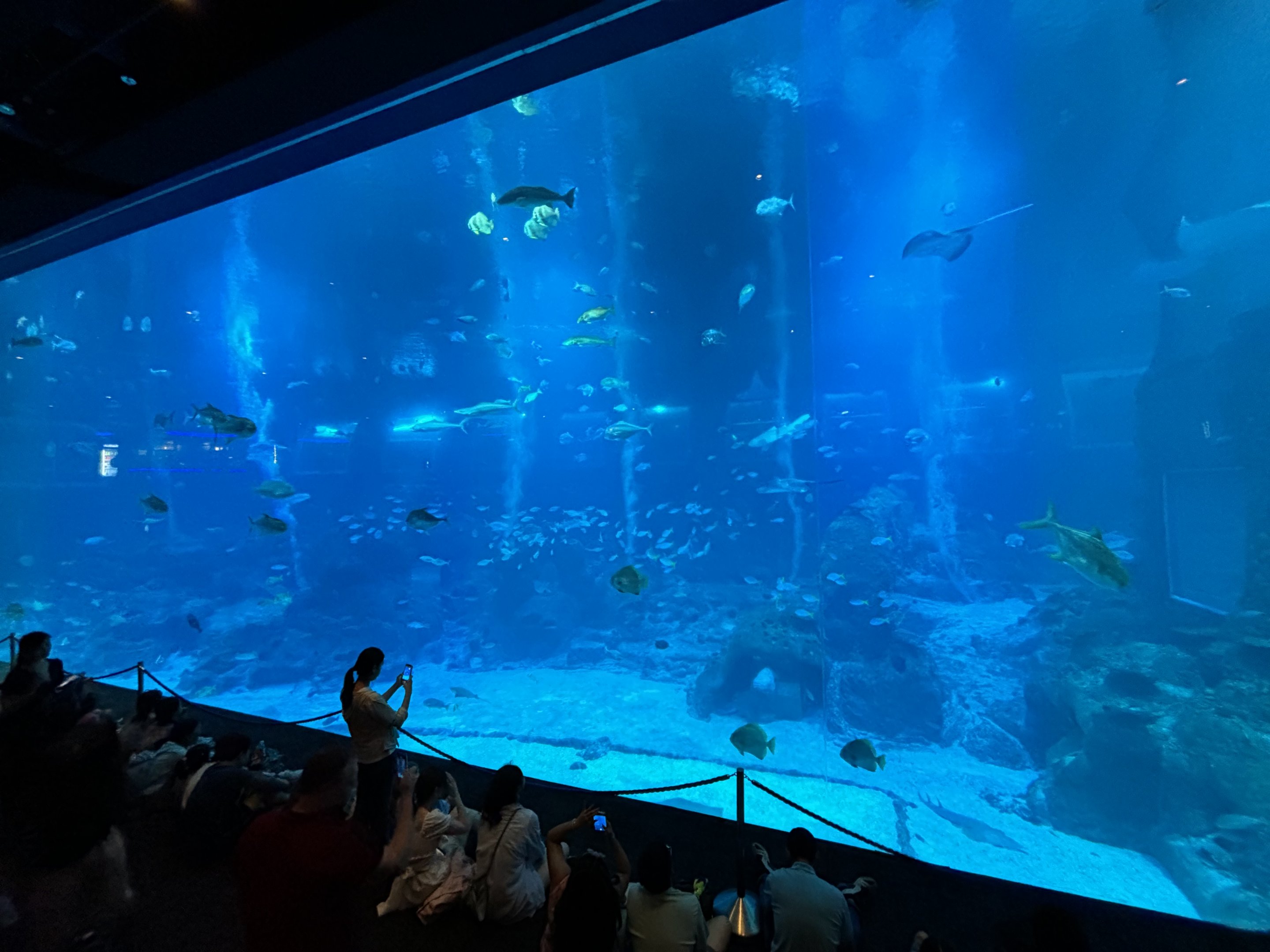 4.8 Million Gallon Open Ocean Habitat