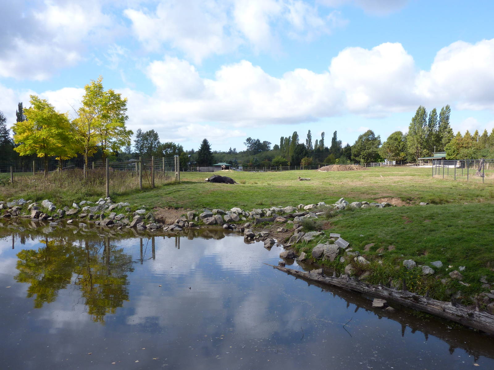 4-Acre African Savanna