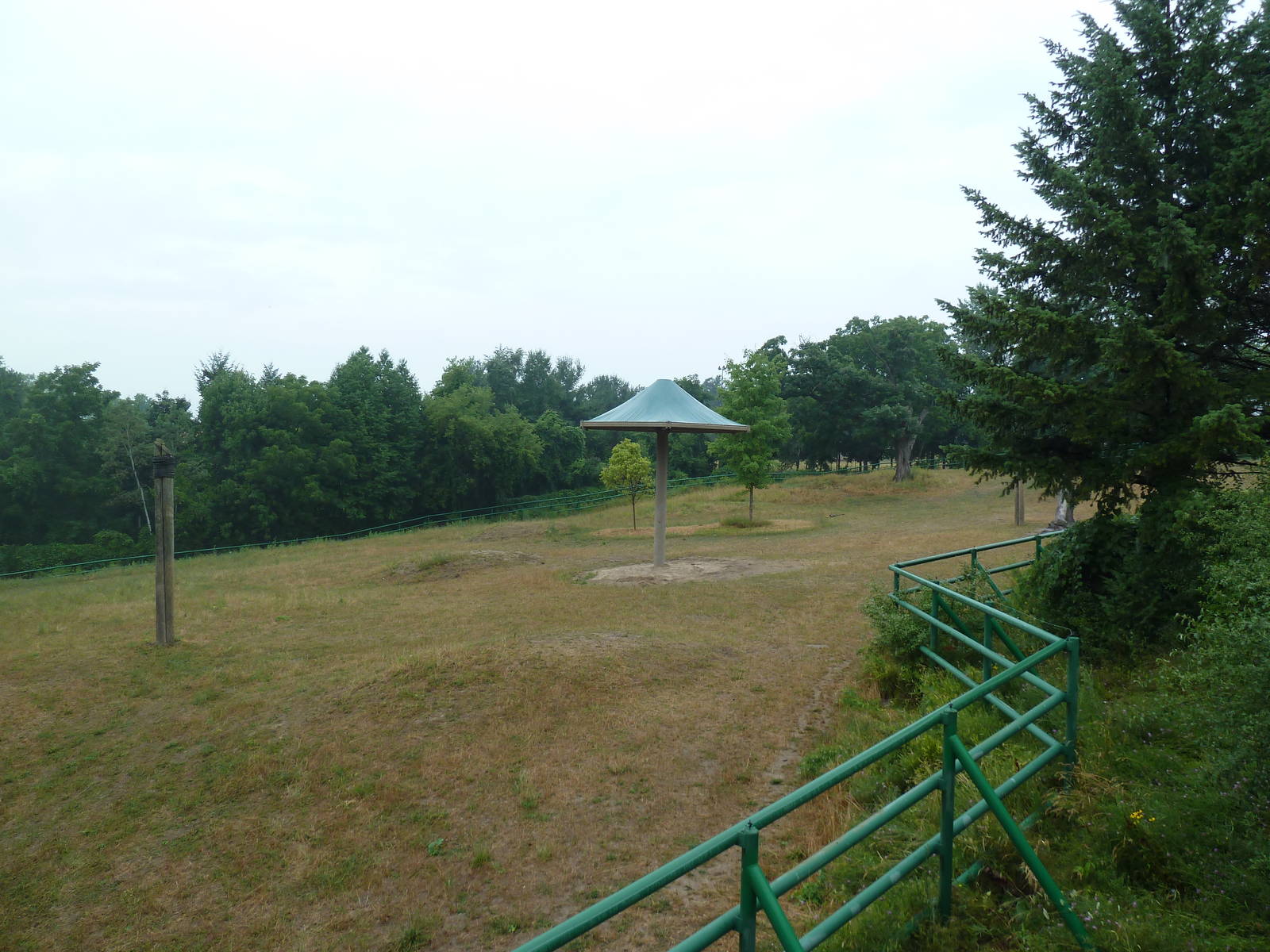 4-Acre Asian Elephant Preserve