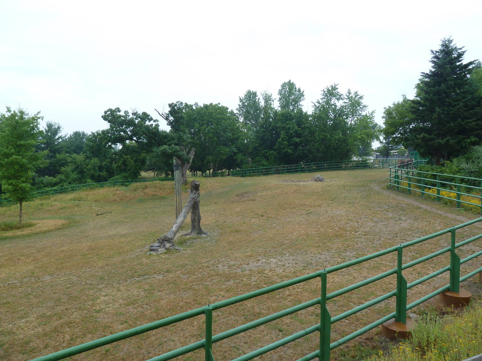 4-Acre Asian Elephant Preserve