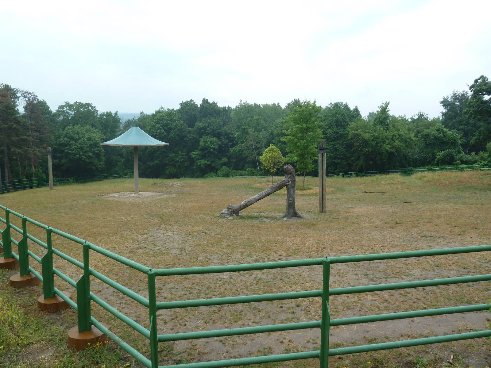 4-Acre Asian Elephant Preserve