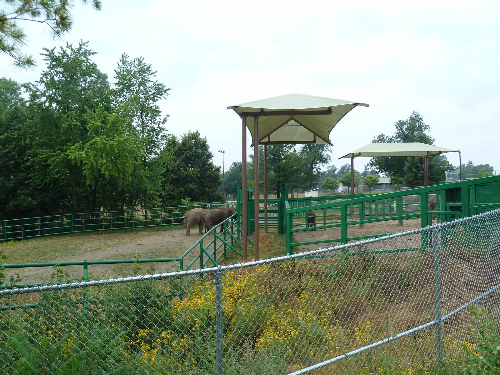 4-Acre Asian Elephant Preserve