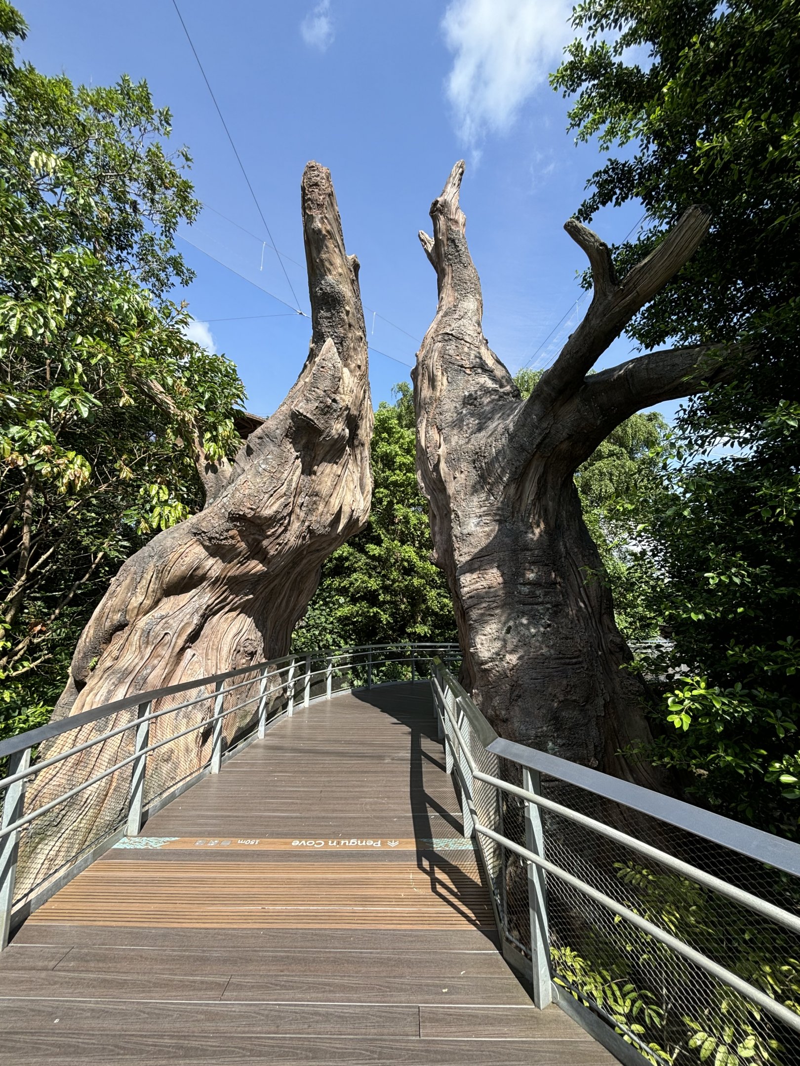 4-Acre Heart of Africa Aviary