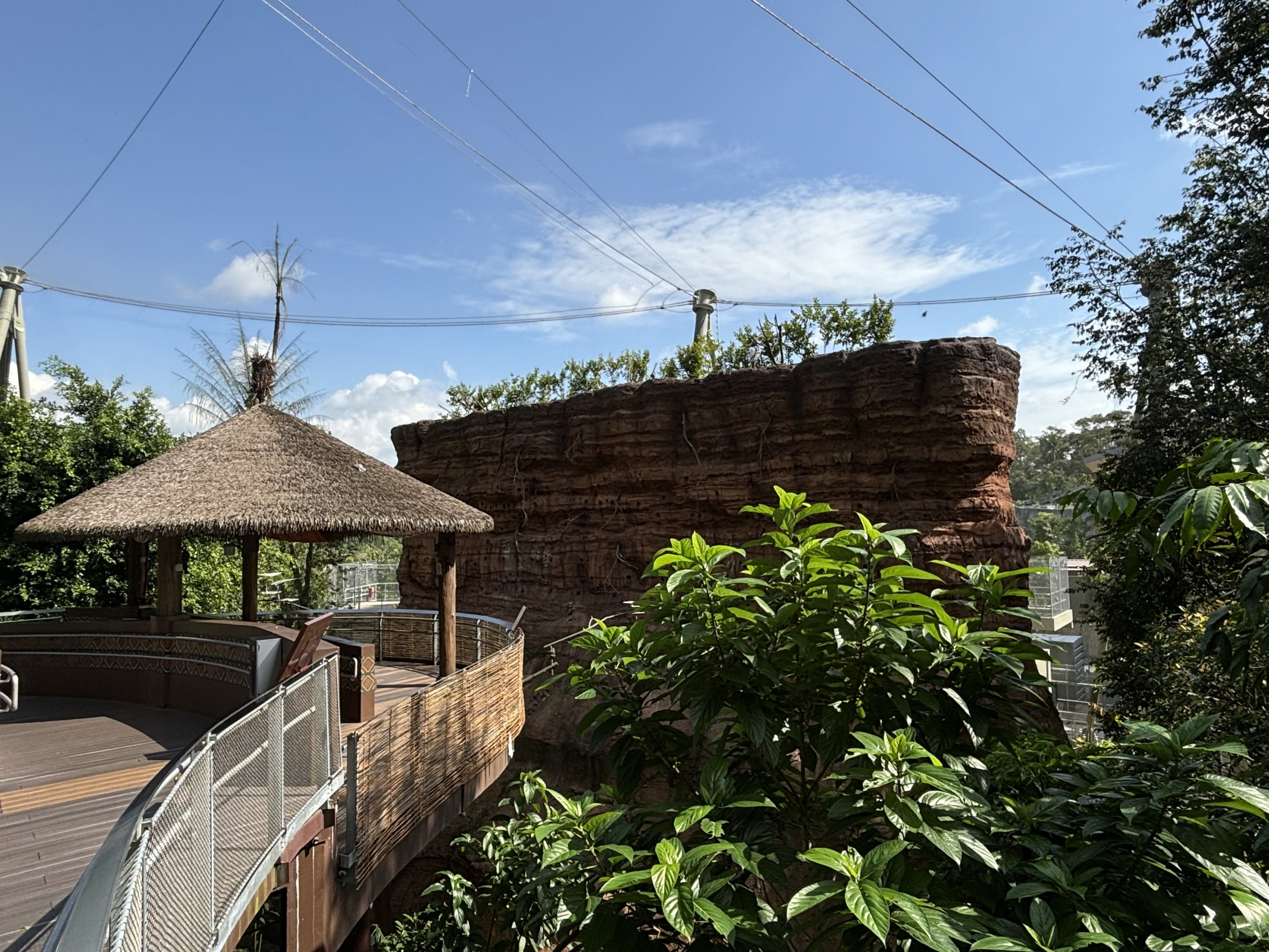 4-Acre Heart of Africa Aviary