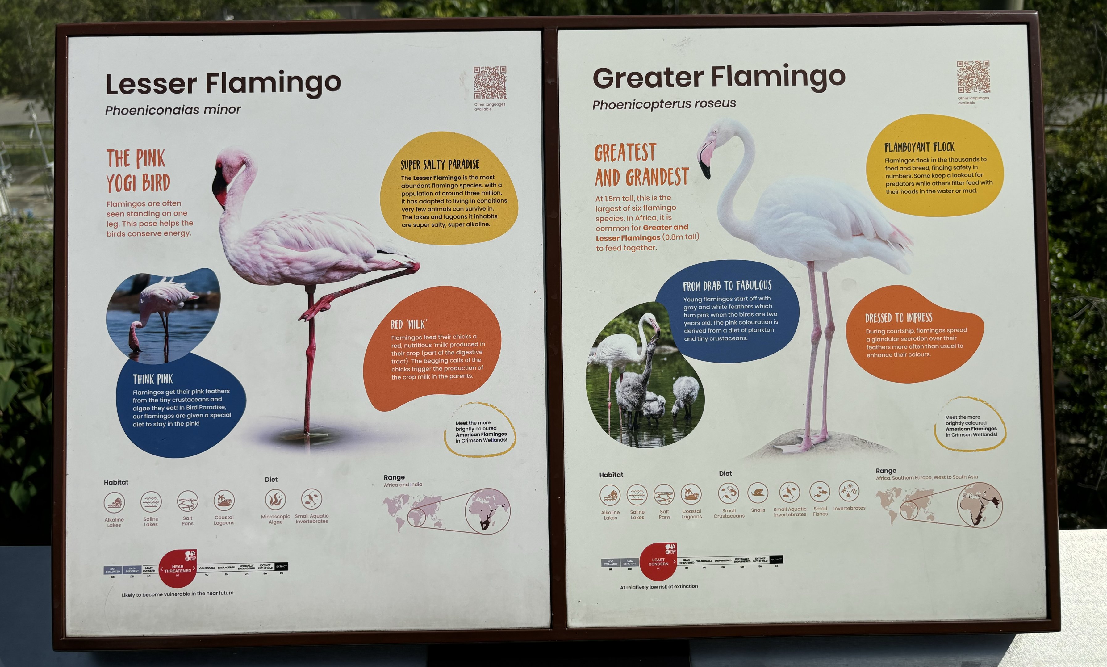 4-Acre Heart of Africa Aviary