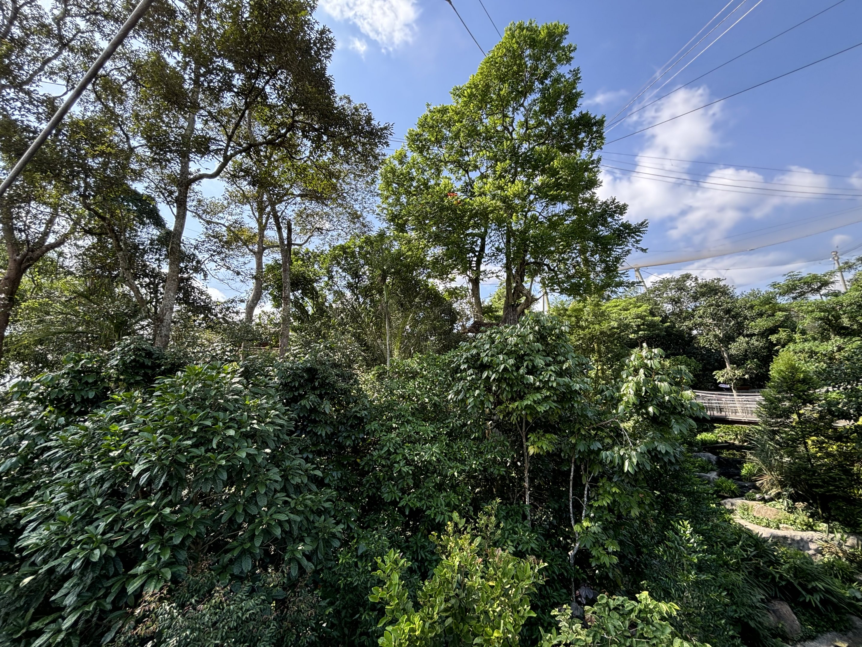 4-Acre Heart of Africa Aviary