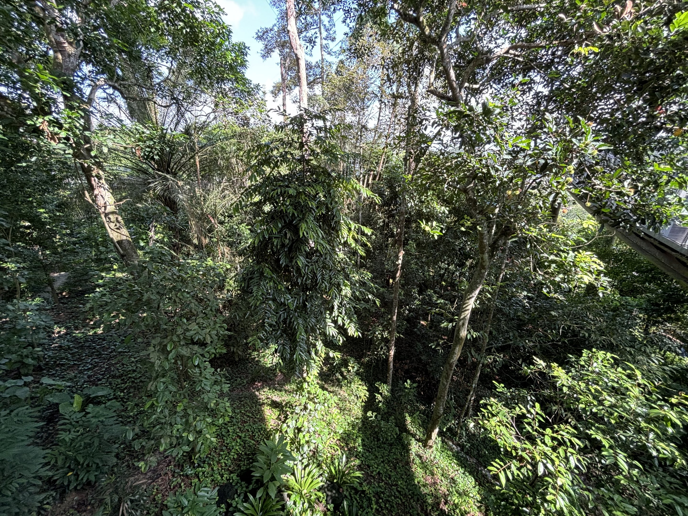 4-Acre Heart of Africa Aviary