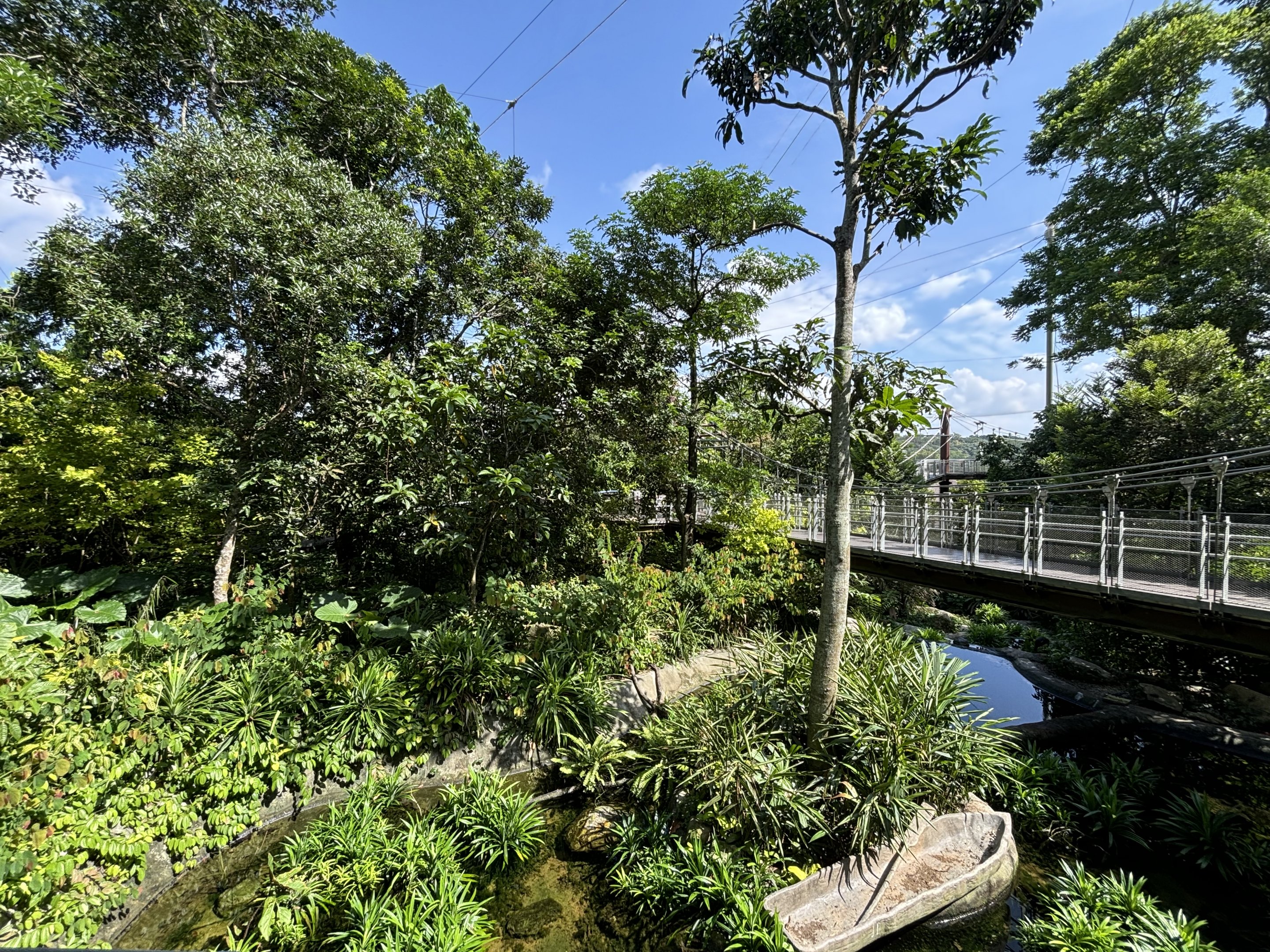 4-Acre Heart of Africa Aviary