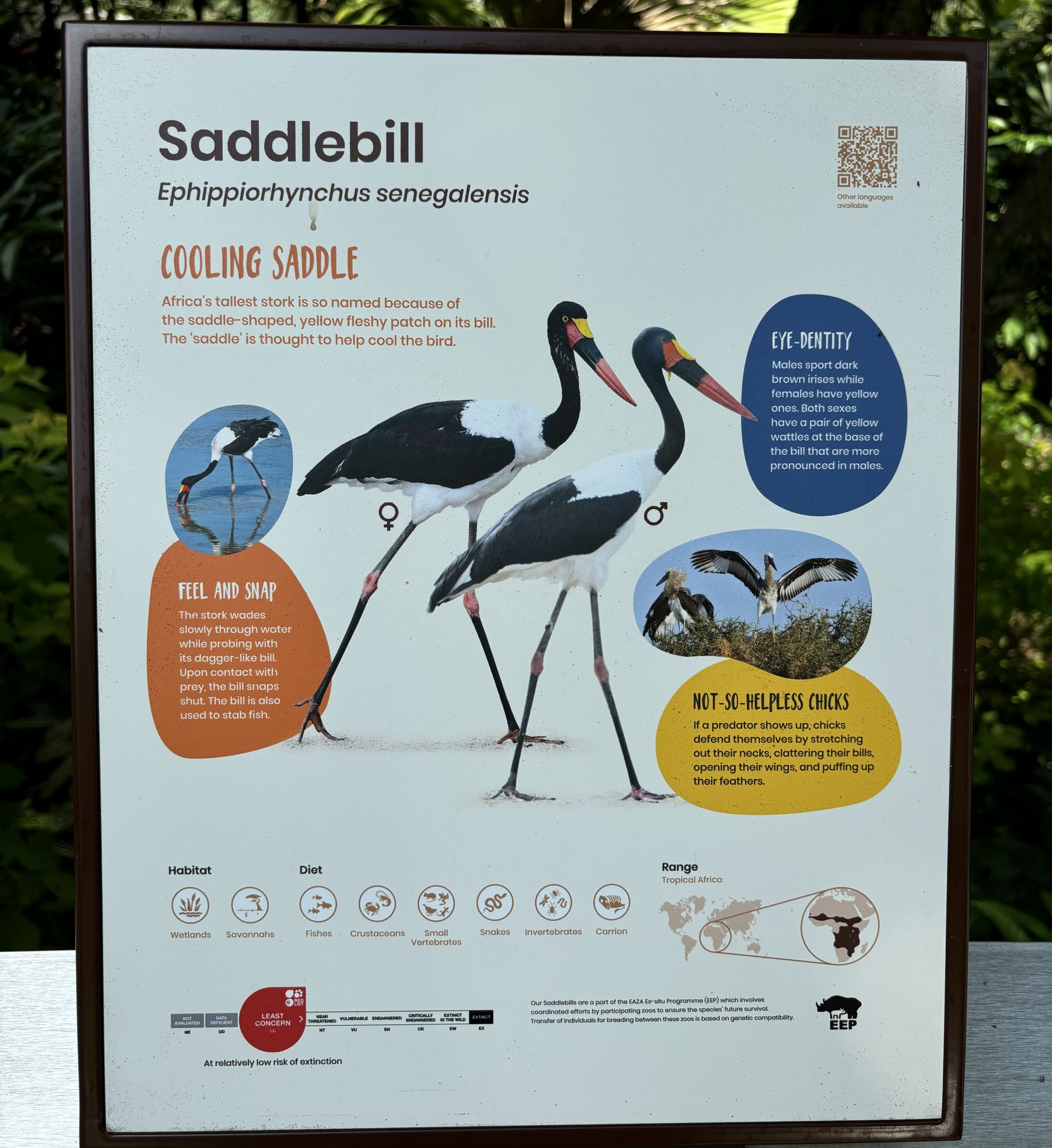 4-Acre Heart of Africa Aviary