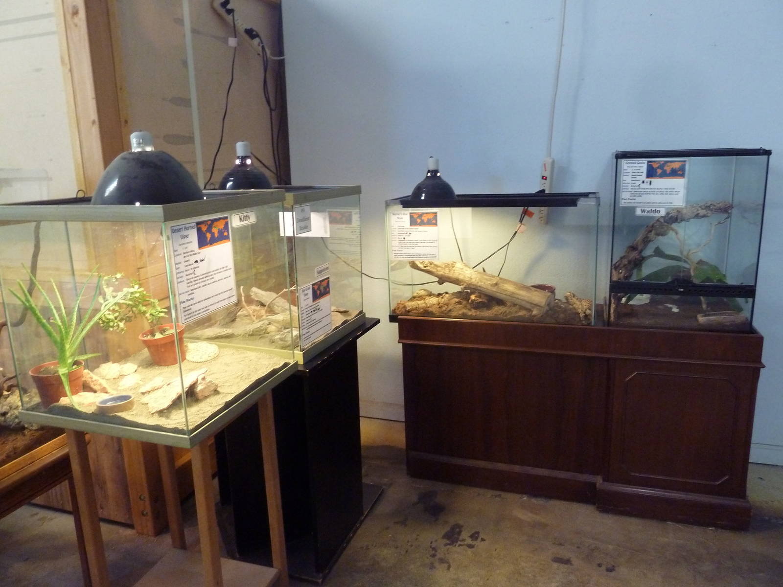 4 Exhibits (see species list below)