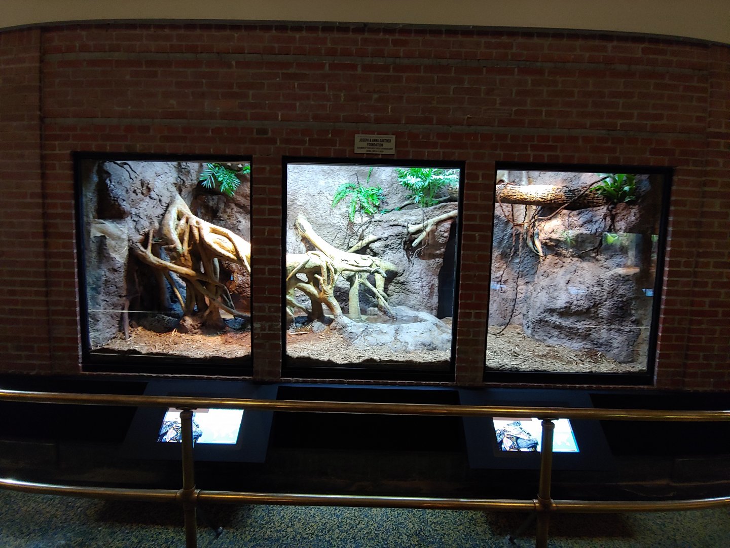 4: Reticulated Python