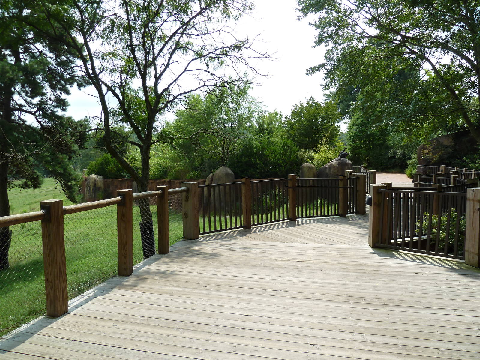 40-Acre Mixed-Species Exhibit - Boardwalk