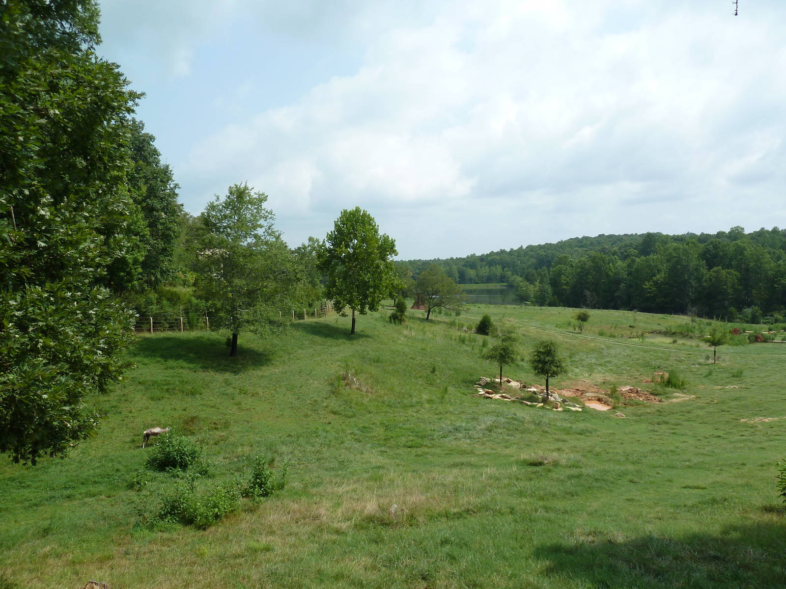 40-Acre Mixed-Species Exhibit