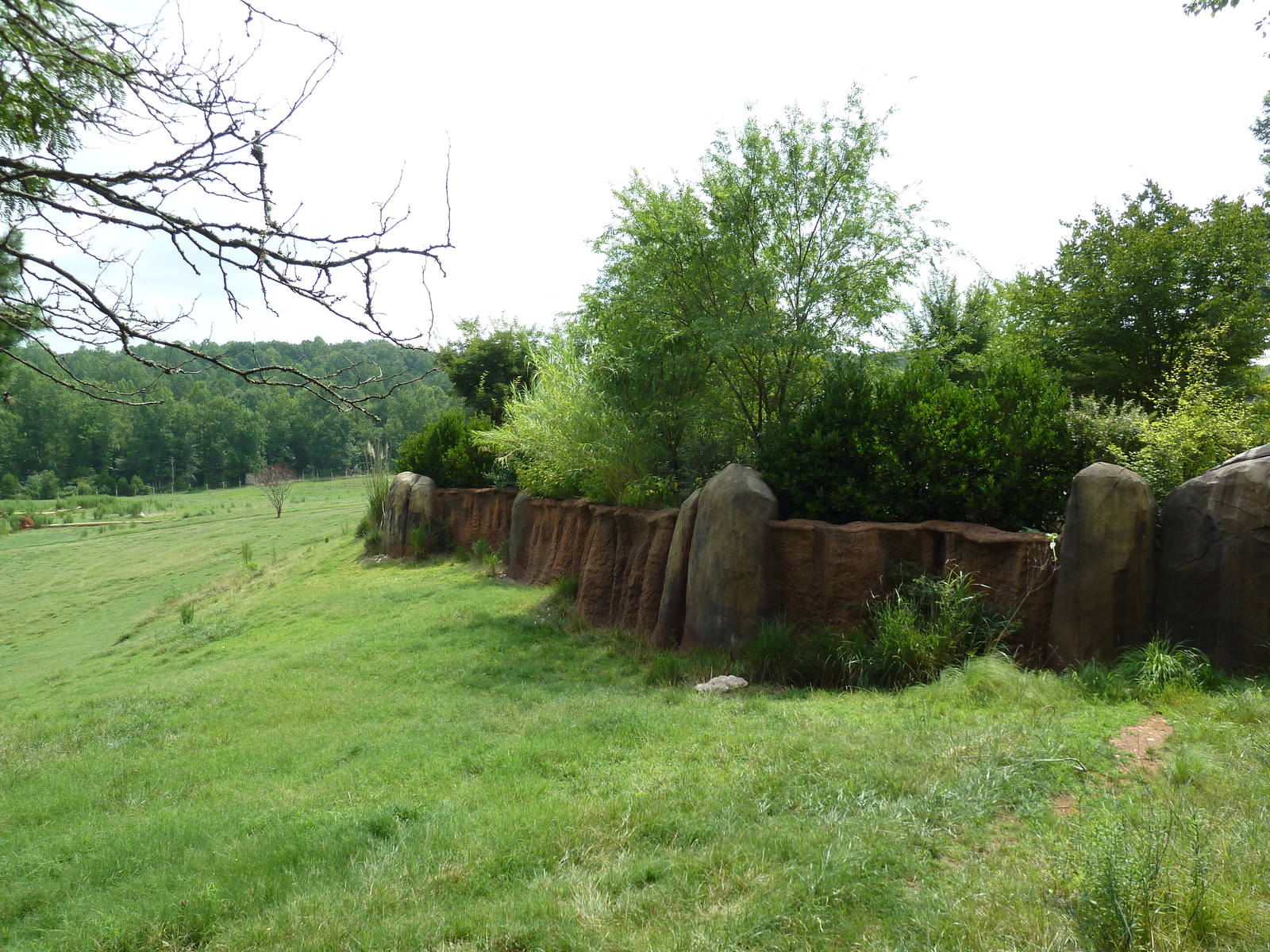 40-Acre Mixed-Species Exhibit