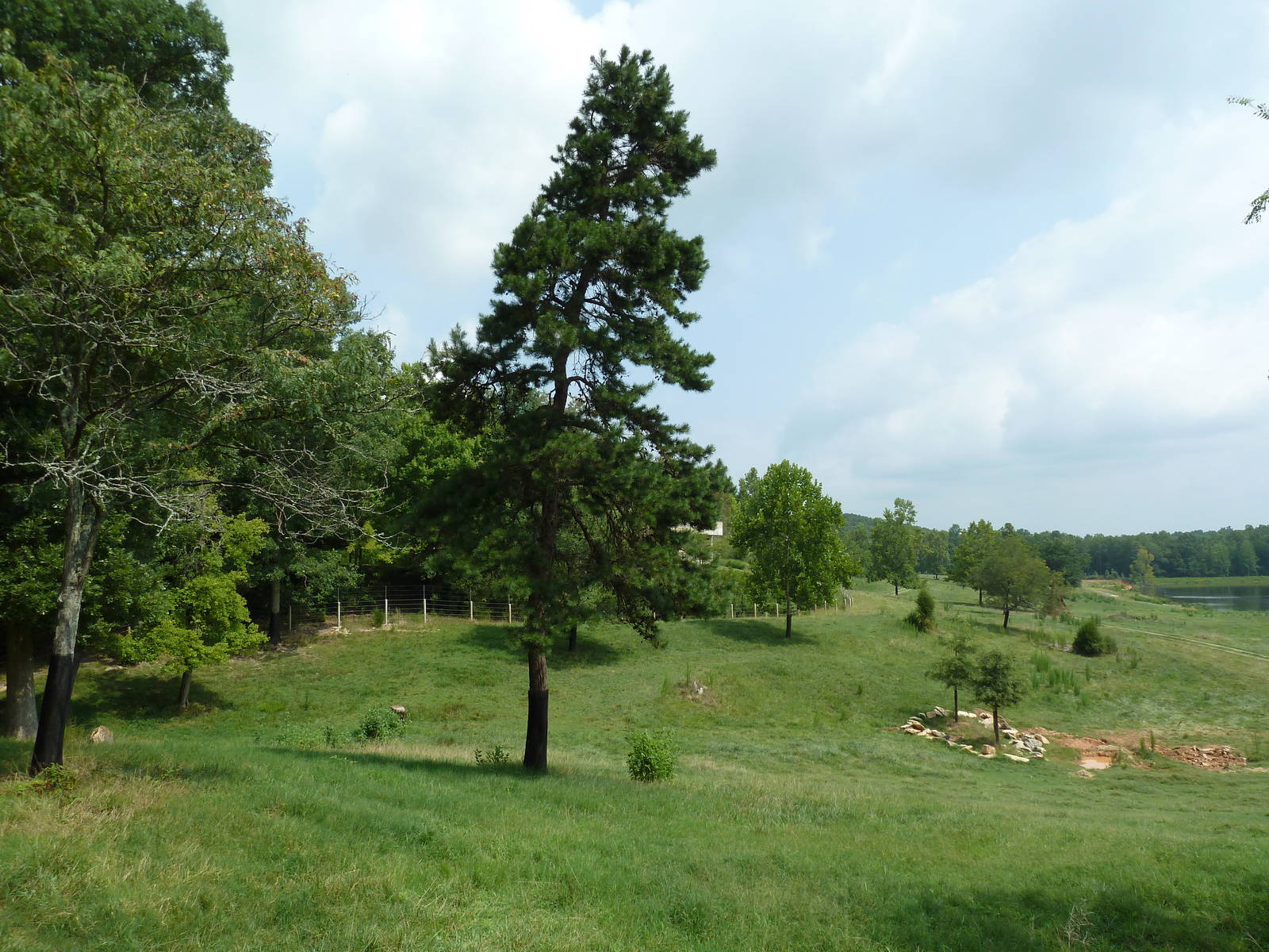 40-Acre Mixed-Species Exhibit