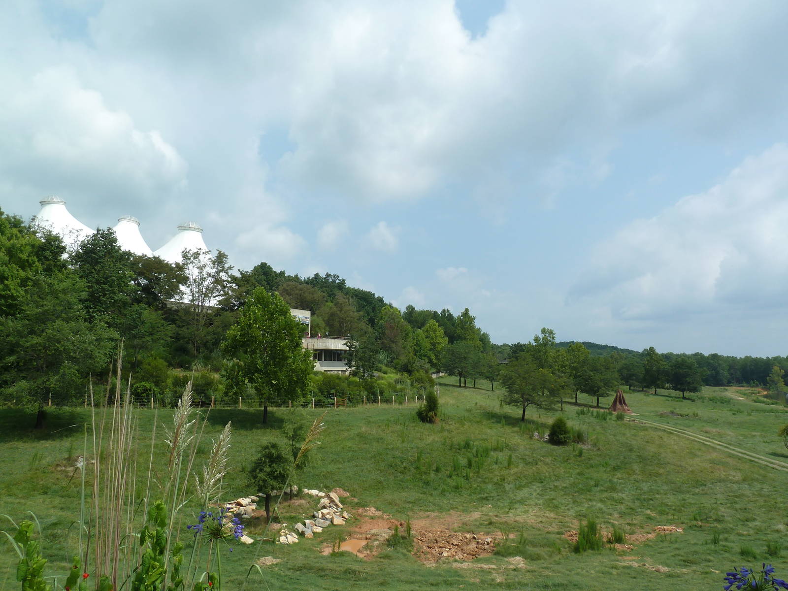 40-Acre Mixed-Species Exhibit