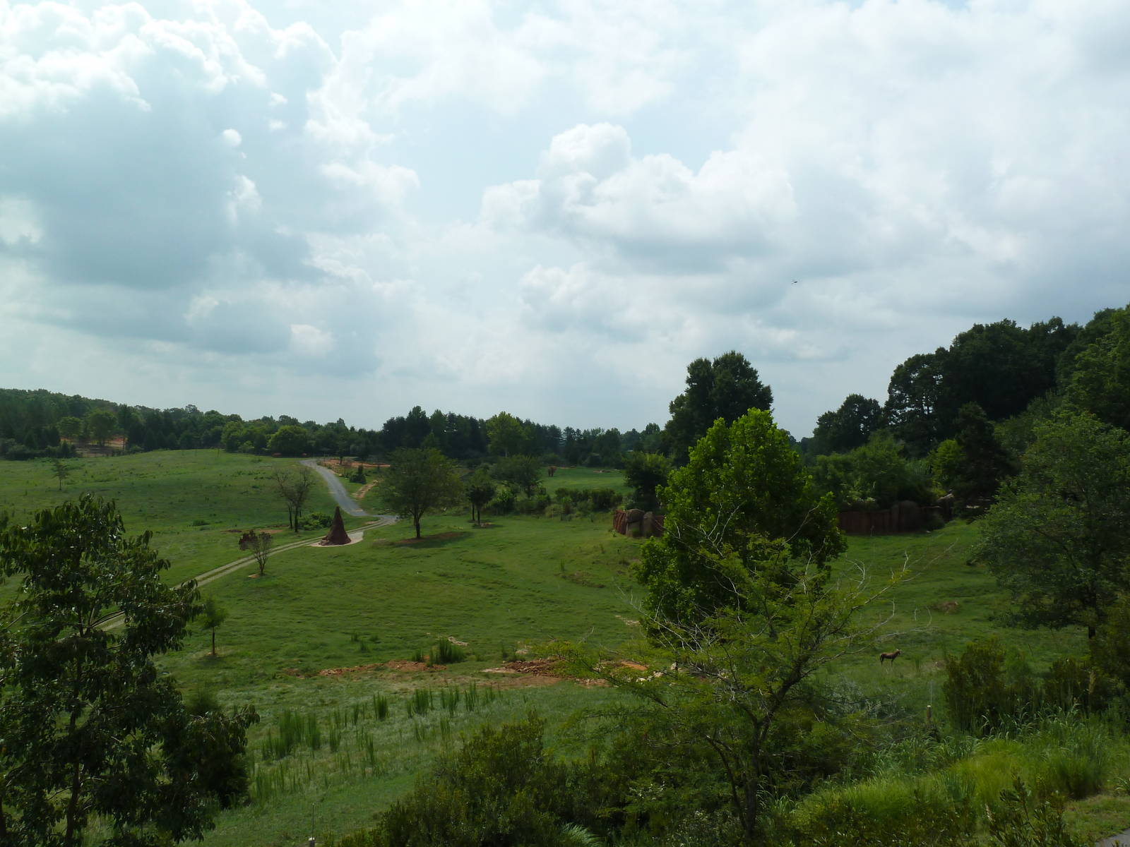 40-Acre Mixed-Species Exhibit