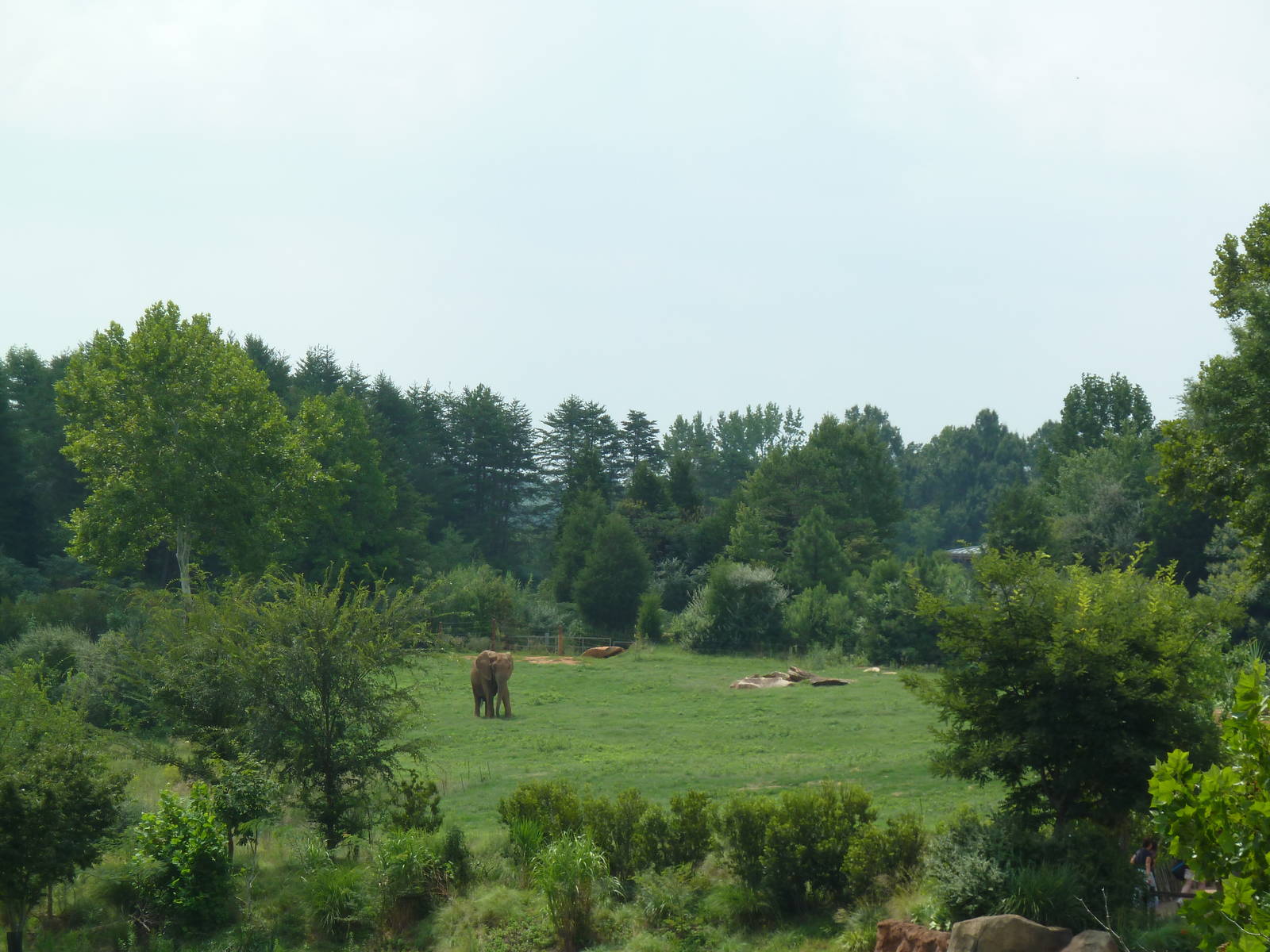 40-Acre Mixed-Species Exhibit