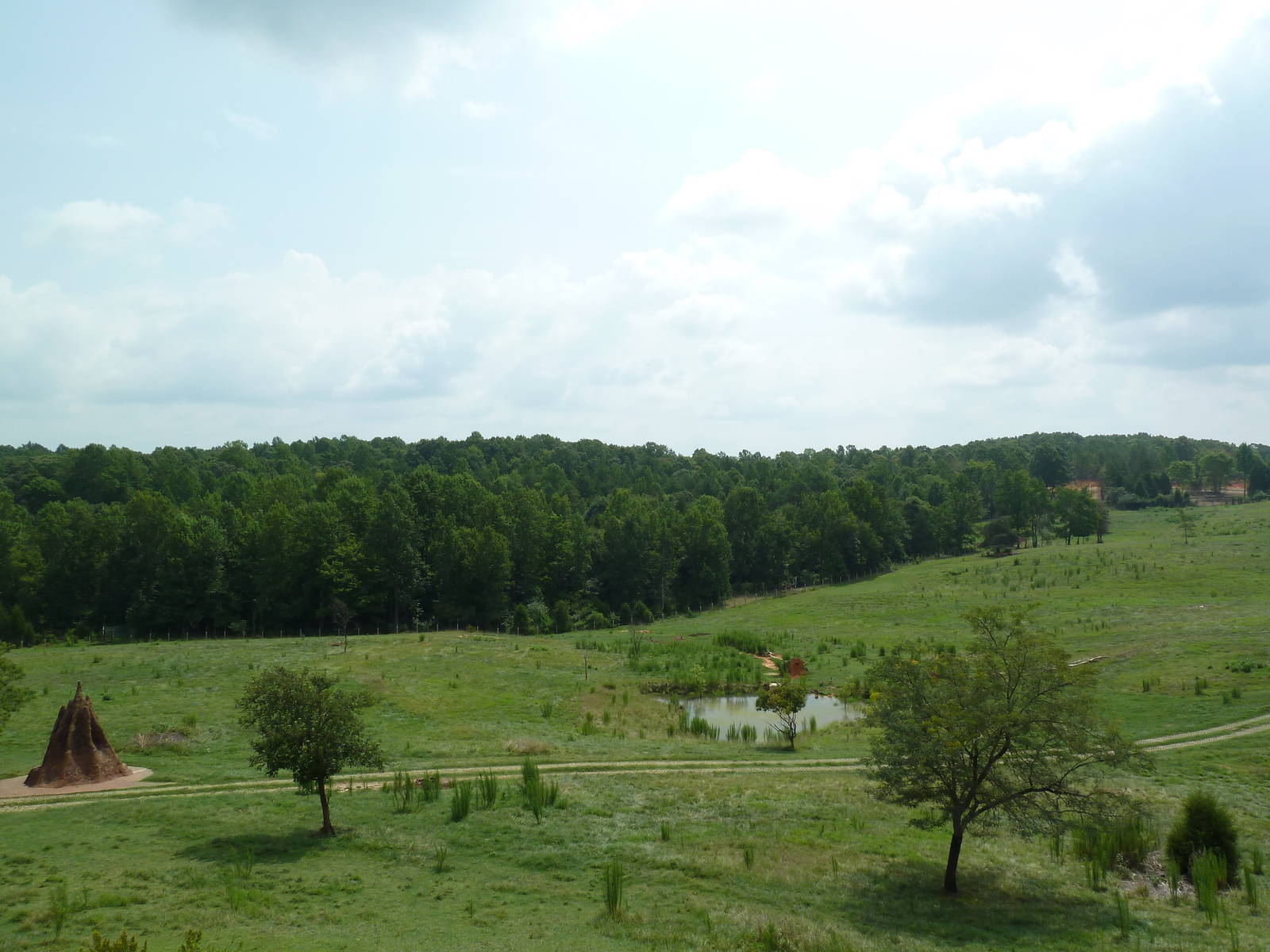 40-Acre Mixed-Species Exhibit