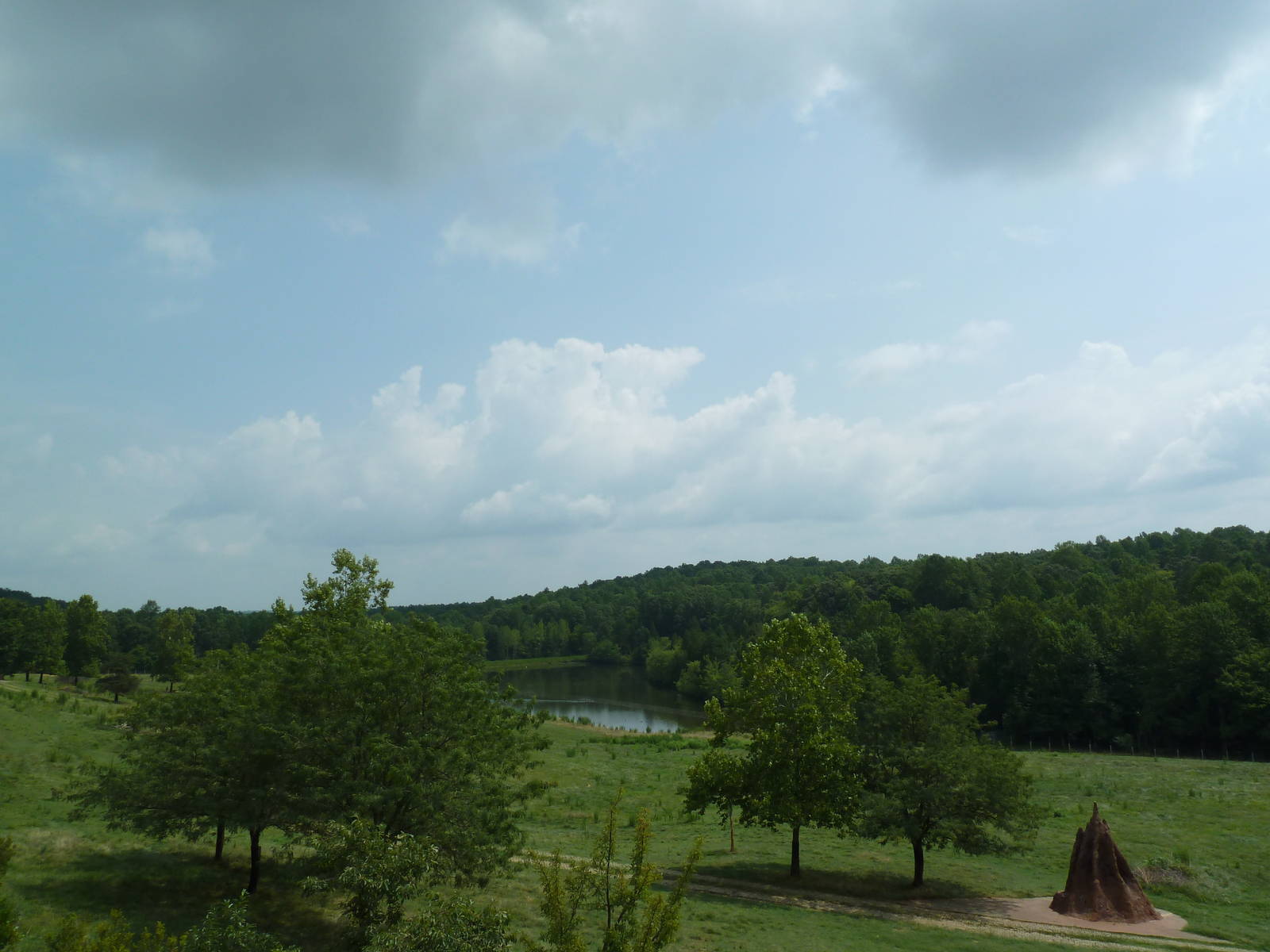 40-Acre Mixed-Species Exhibit