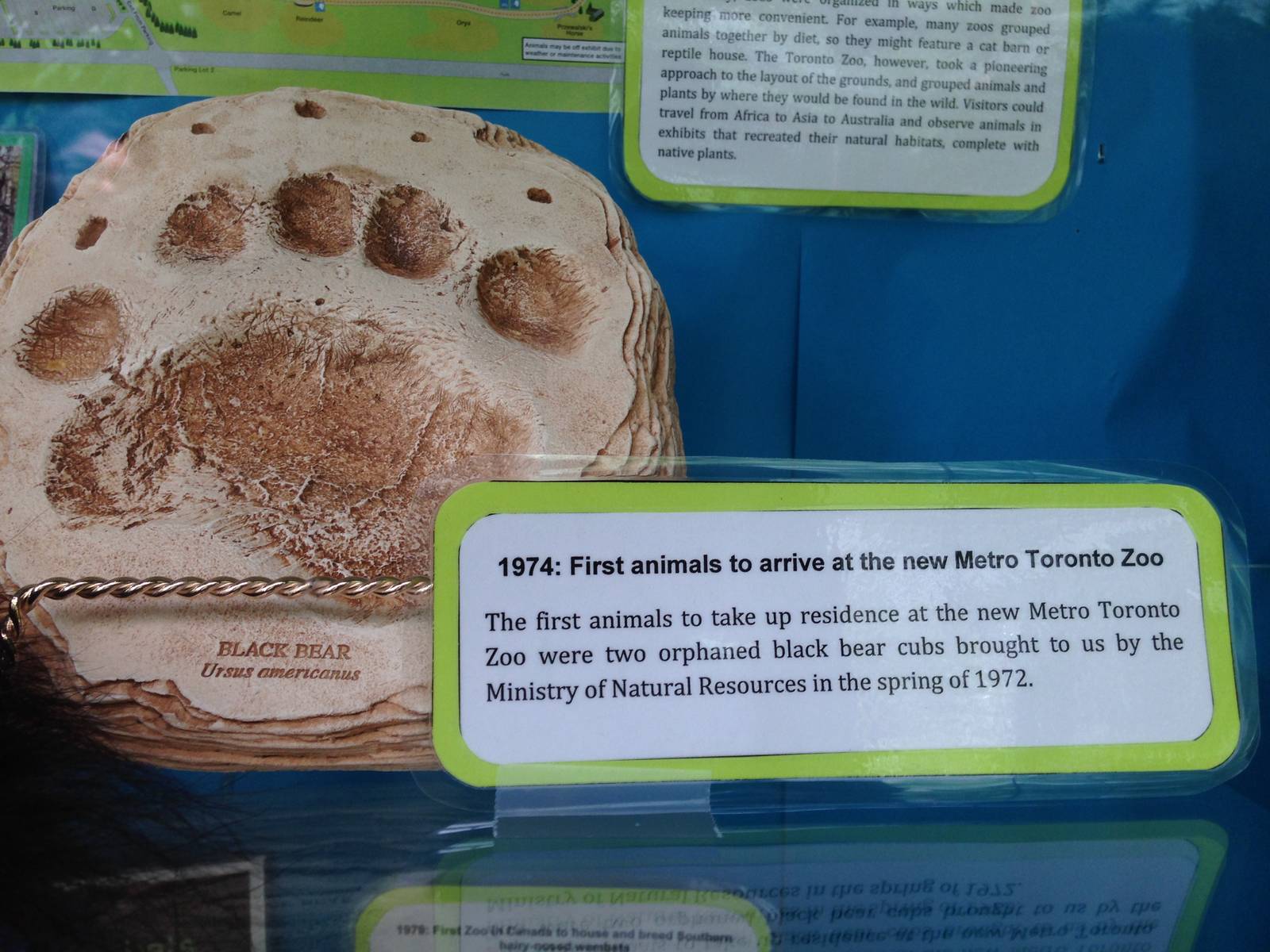 40th Anniversary Display