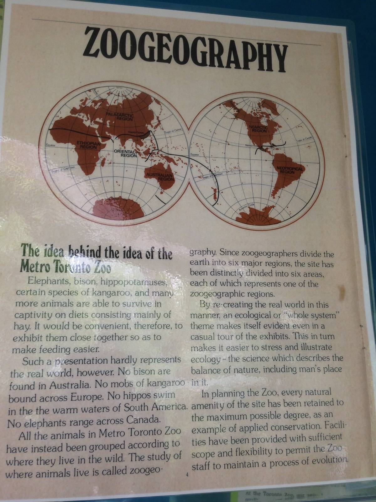 40th Anniversary Display