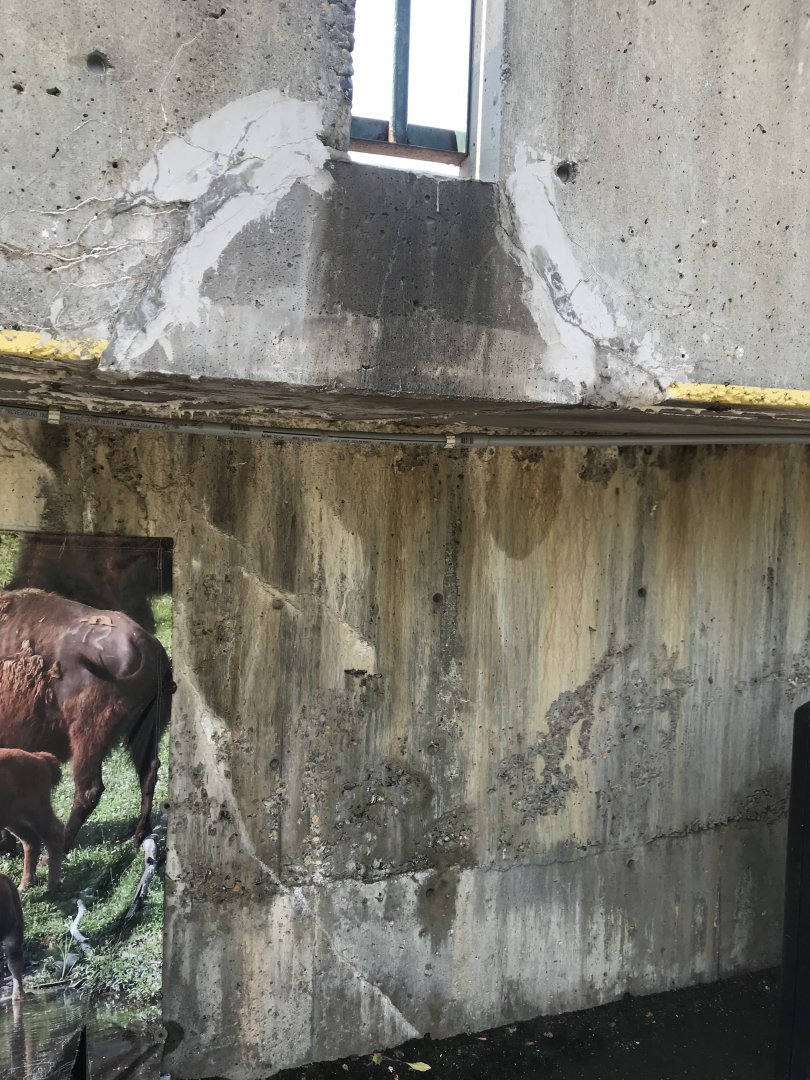 42 year-old concrete ramp showing it’s age