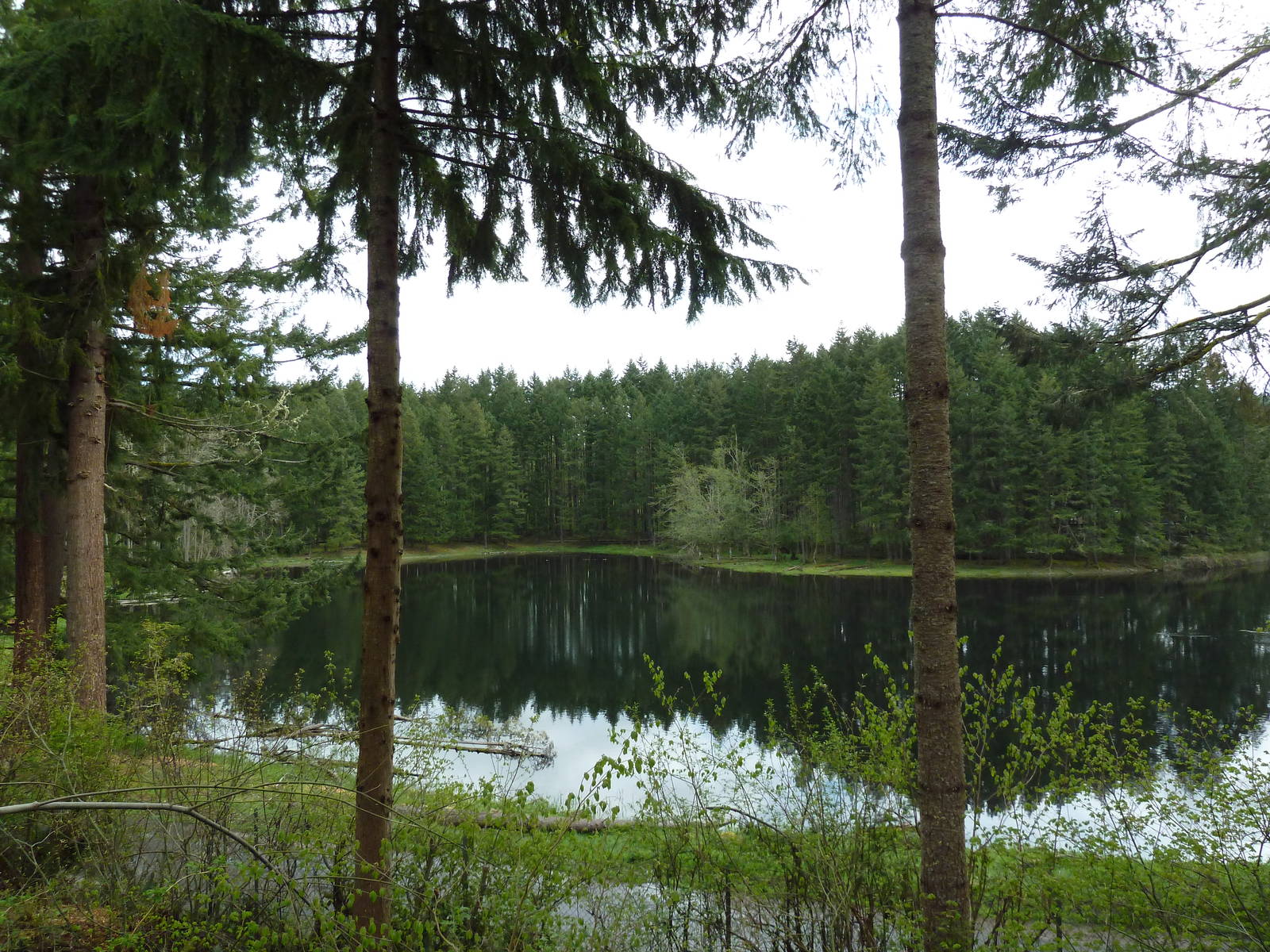 435-Acre Enclosure - Tram Tour