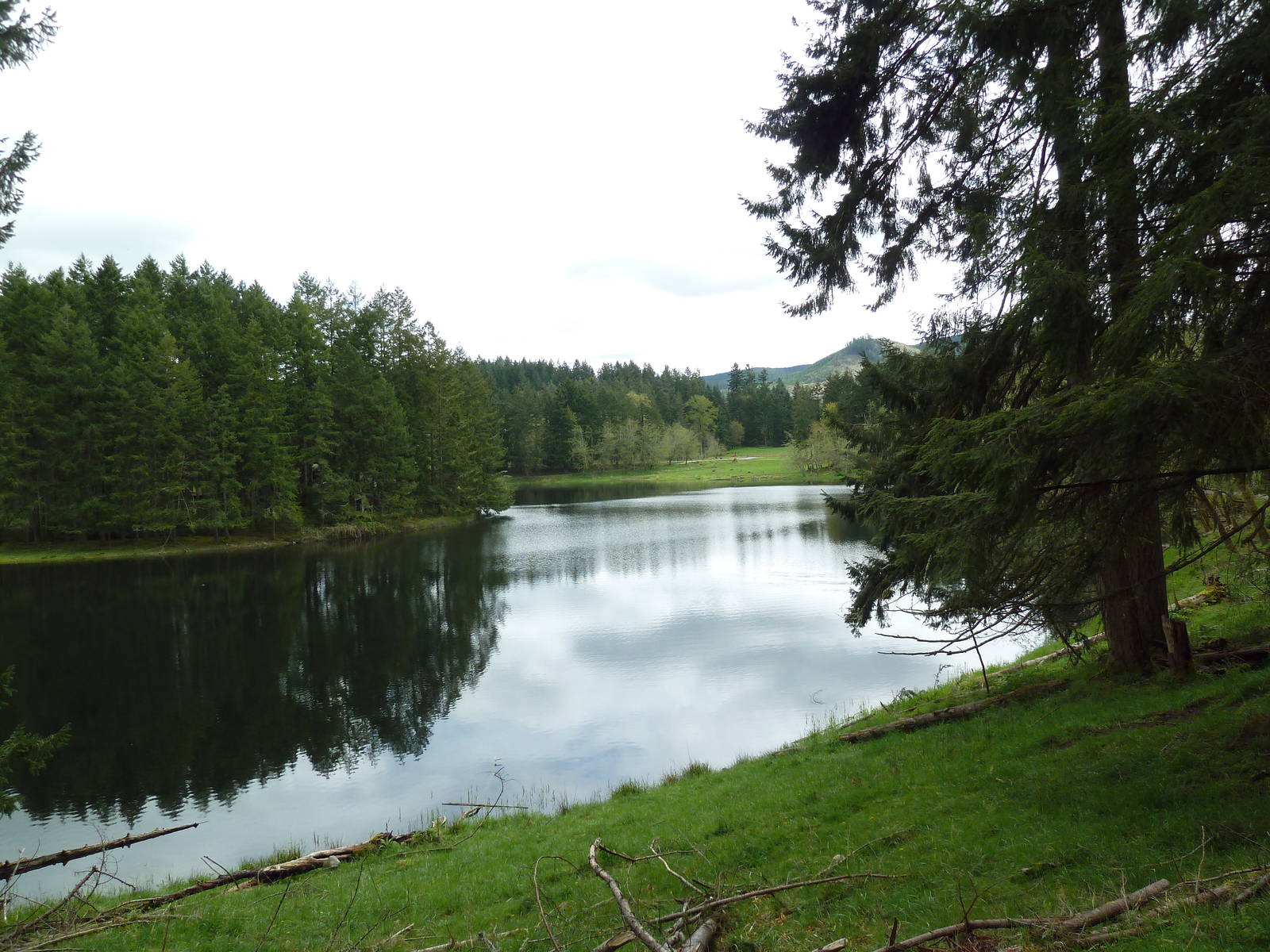 435-Acre Enclosure - Tram Tour