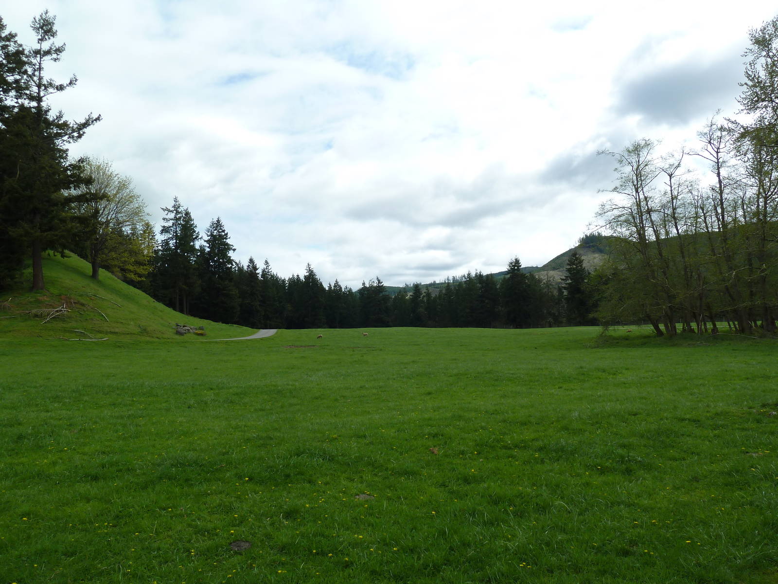 435-Acre Enclosure - Tram Tour