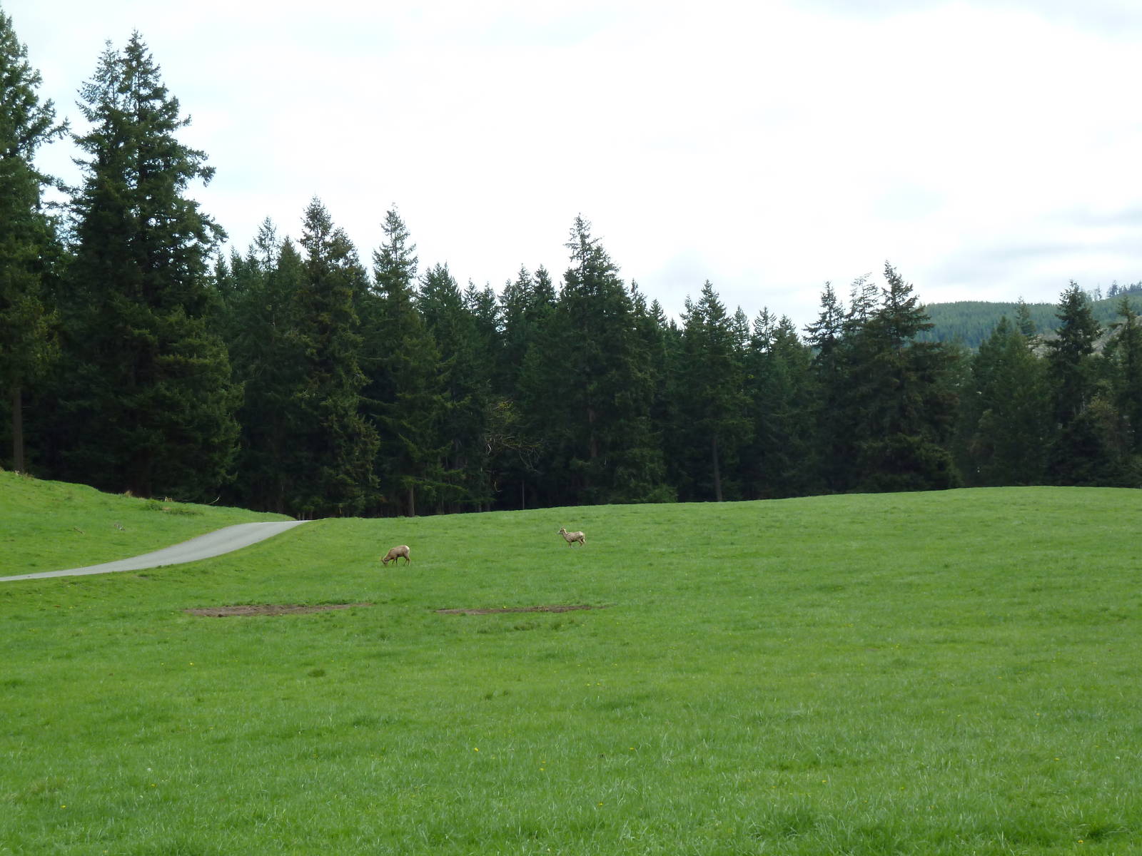 435-Acre Enclosure - Tram Tour