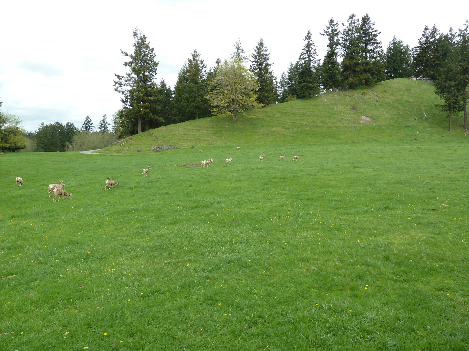 435-Acre Enclosure - Tram Tour