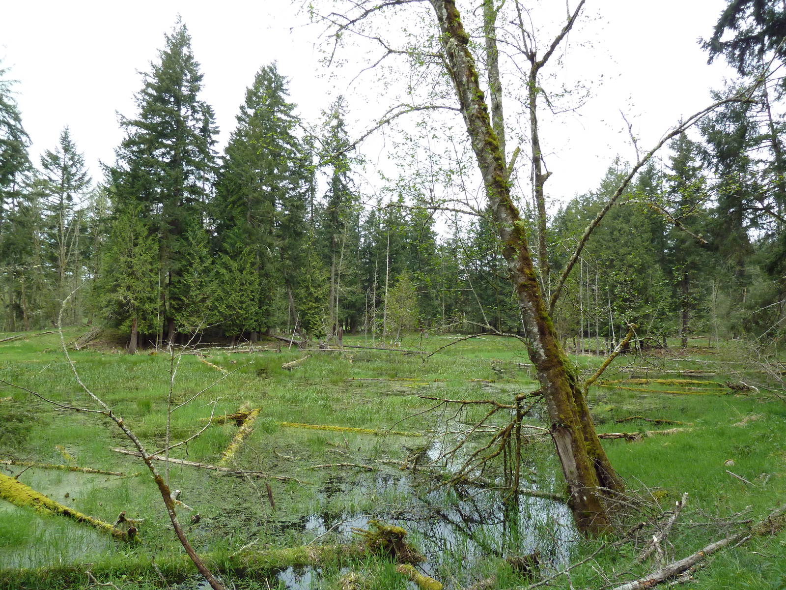 435-Acre Enclosure - Tram Tour