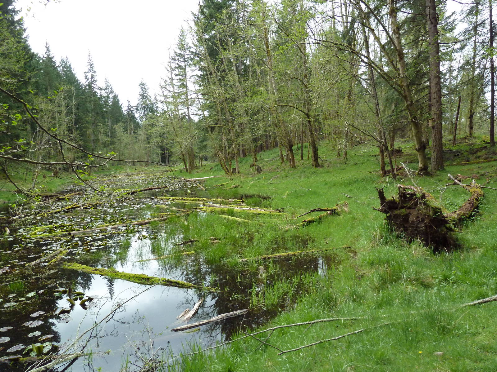 435-Acre Enclosure - Tram Tour