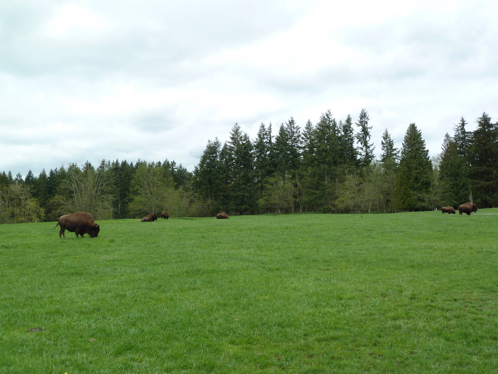 435-Acre Enclosure - Tram Tour