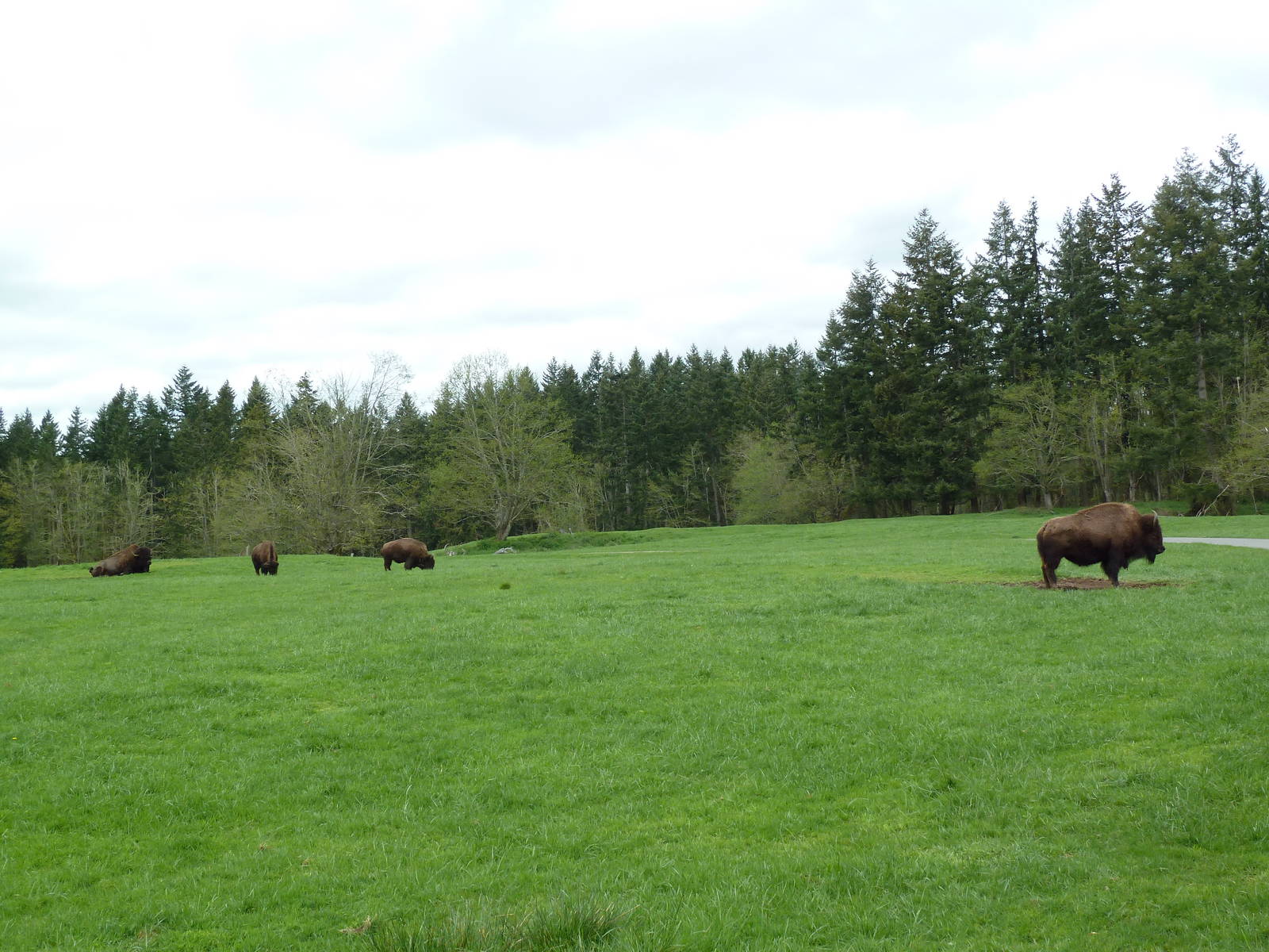 435-Acre Enclosure - Tram Tour