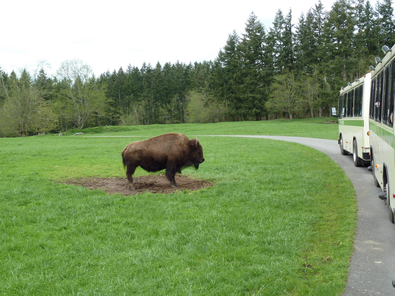 435-Acre Enclosure - Tram Tour
