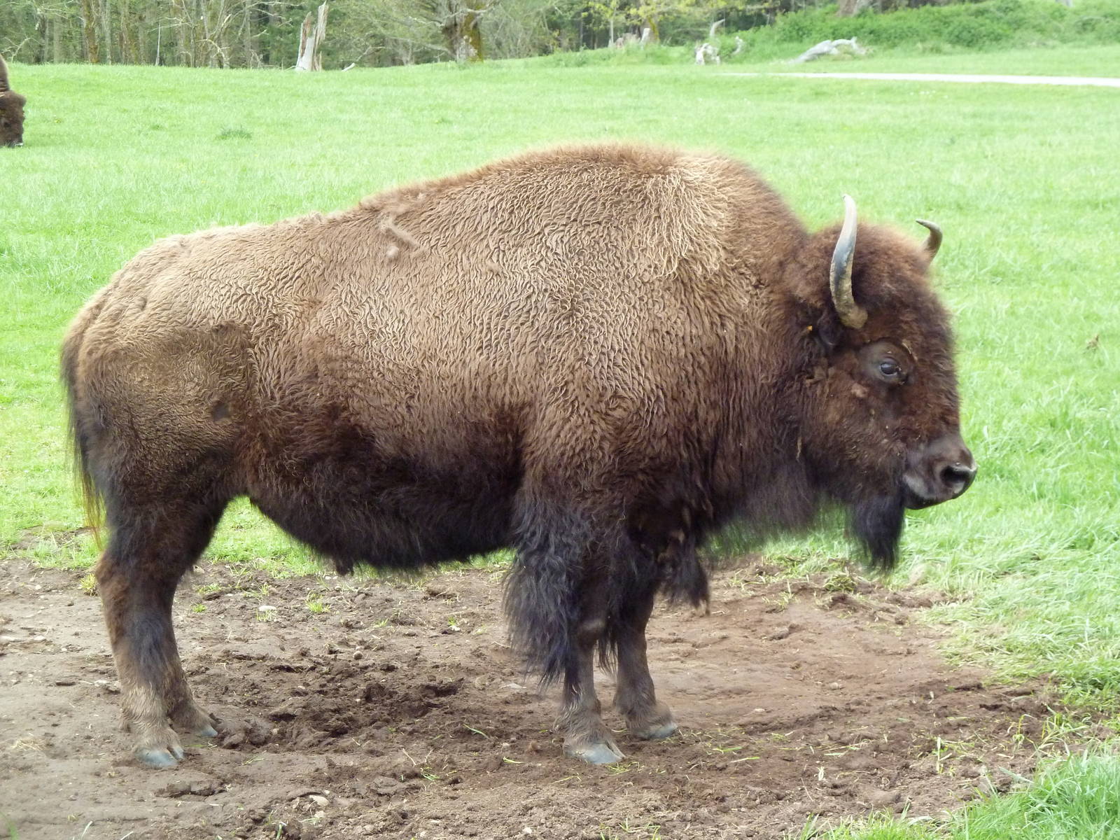 435-Acre Enclosure - Tram Tour