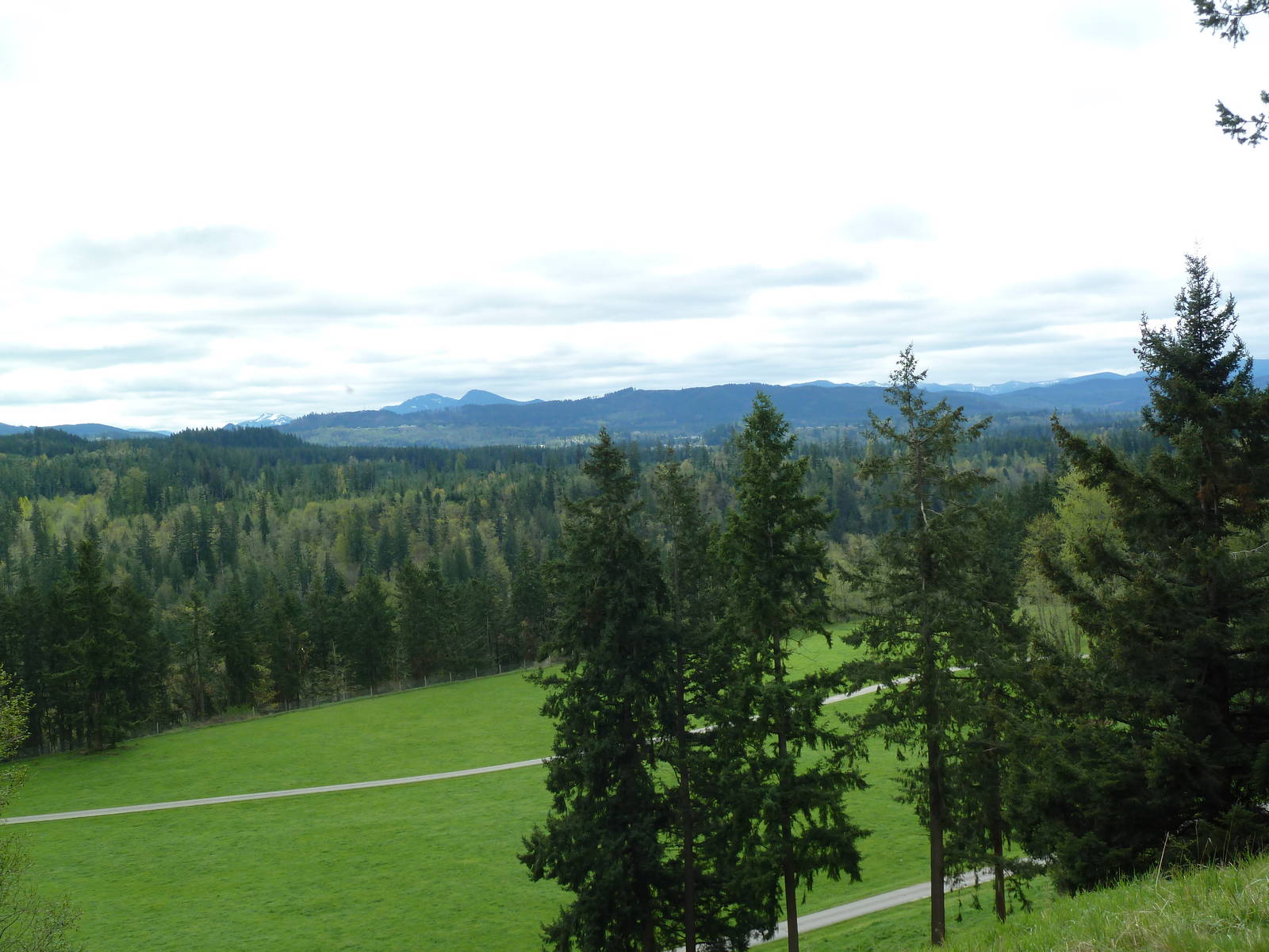 435-Acre Enclosure - Tram Tour