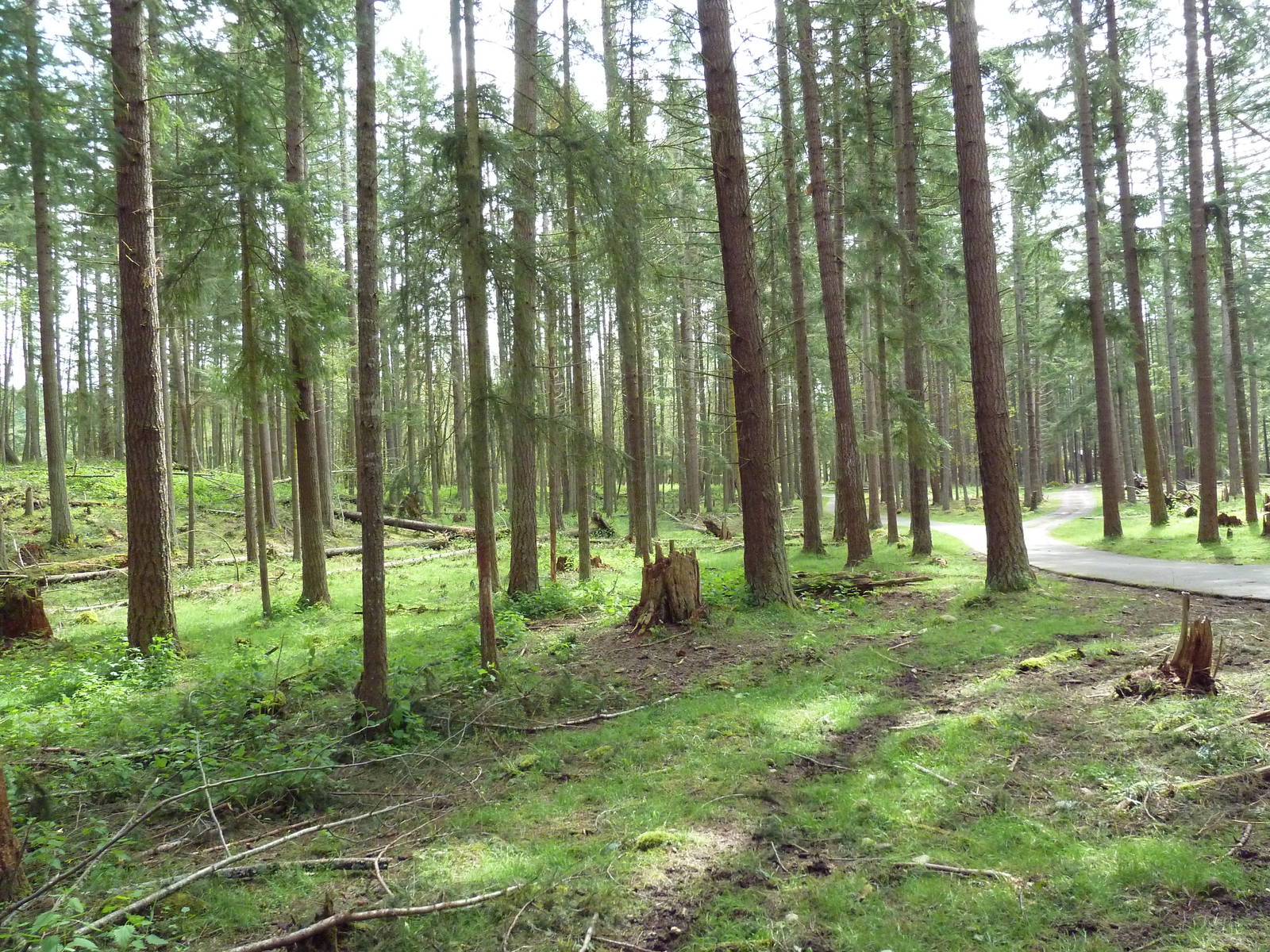 435-Acre Enclosure - Tram Tour