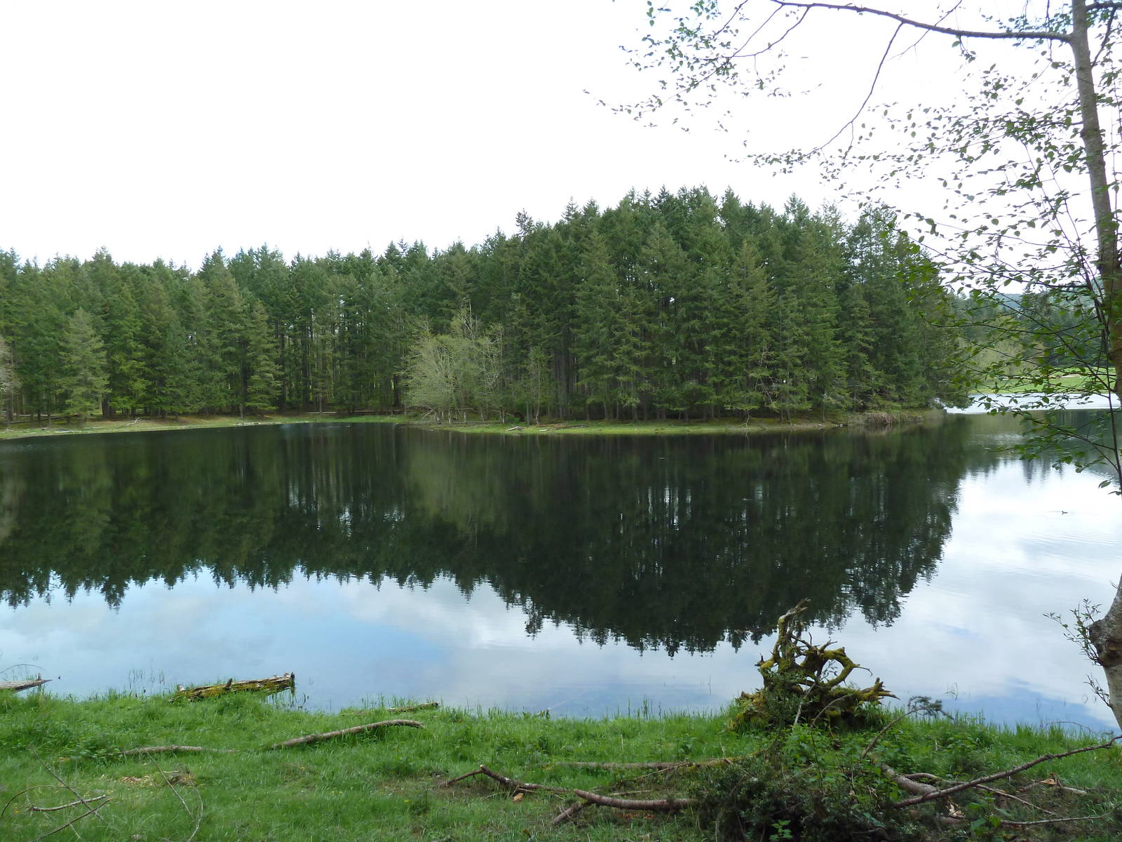 435-Acre Enclosure - Tram Tour