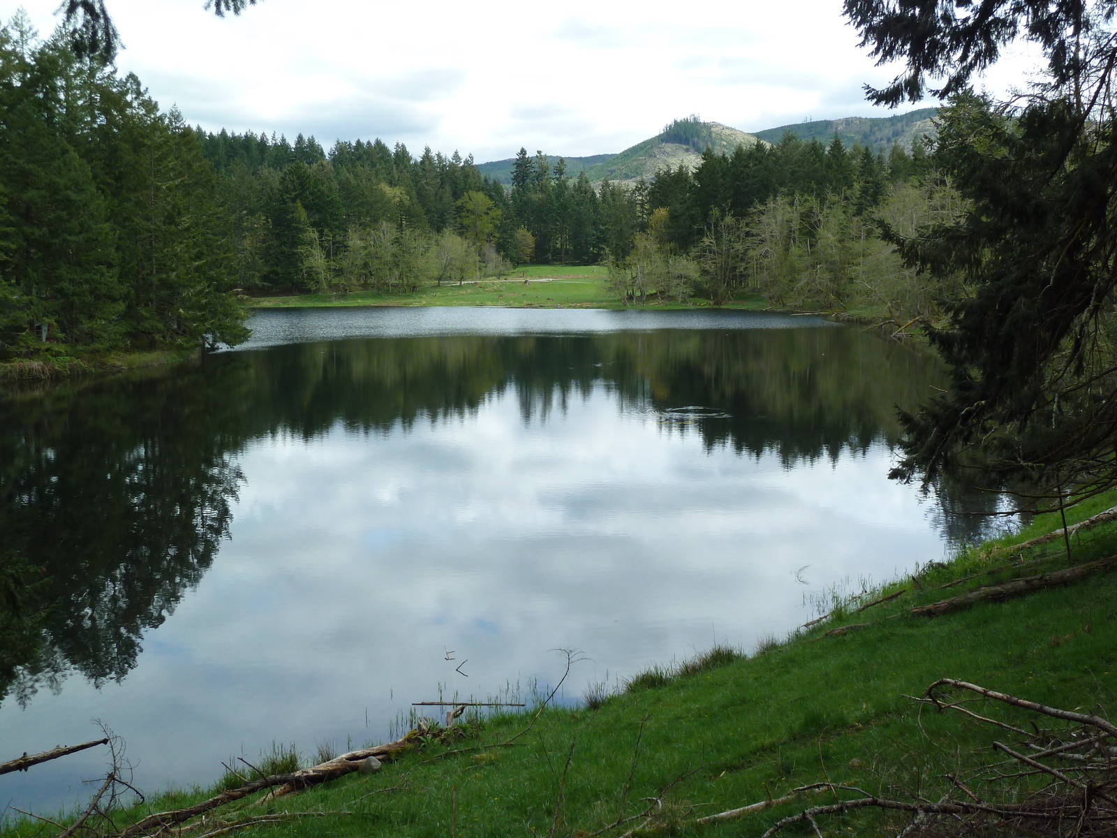 435-Acre Enclosure - Tram Tour